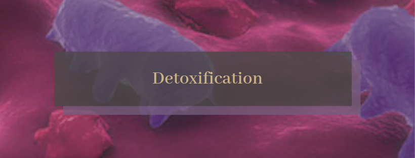 Detoxification.png