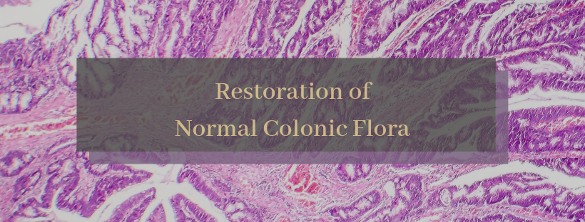 Normal Colonic FLora.png