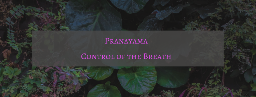 Pranayama -- Control of the Breath.png