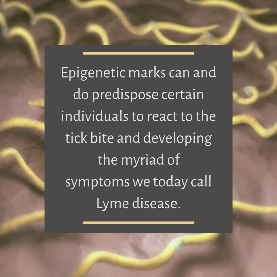 Lyme Disease - Epigenetics.png