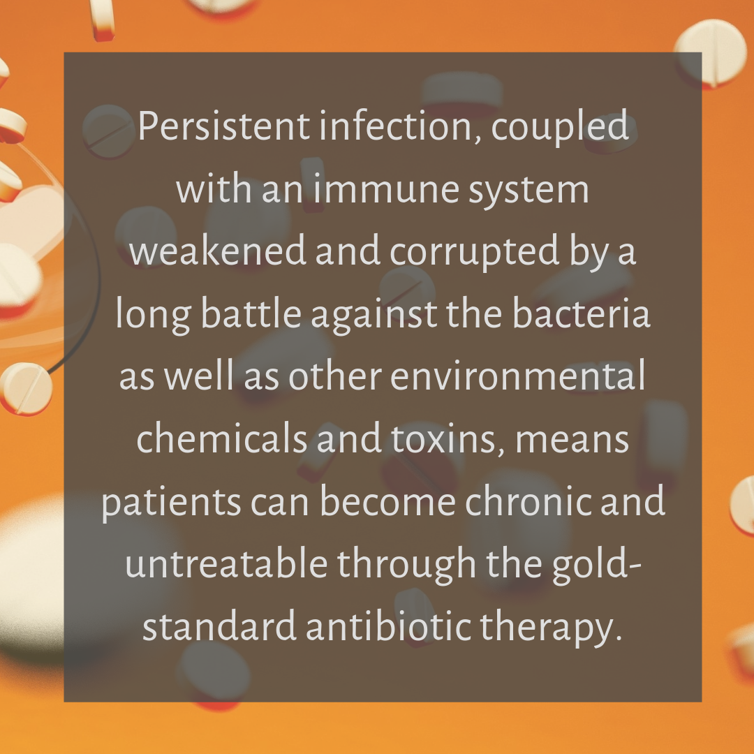 Chronic Lyme Disease and Persistent infection.png