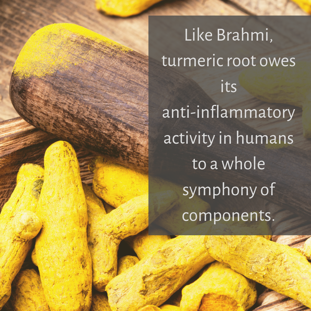 Turmeric Root.png