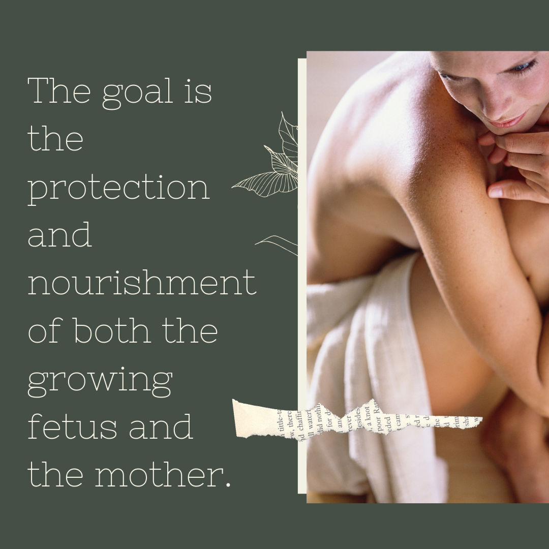 Protect and nourish fetus and mother.png