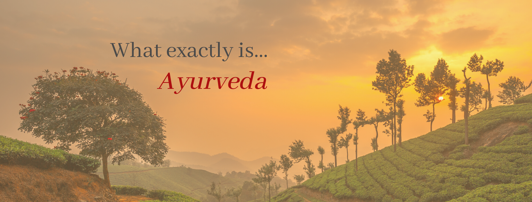 What exactly IS Ayurveda_ Dr Scott Gerson.png