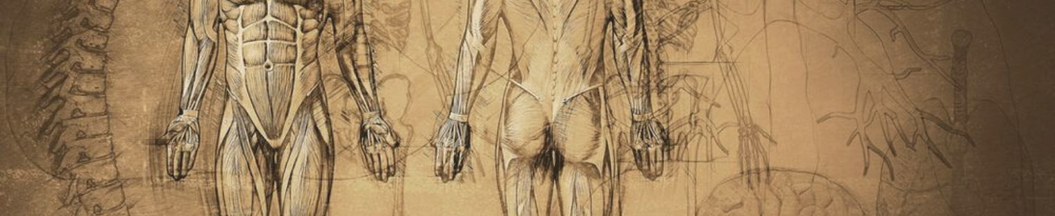 The Thirteen Srotas   - Dr Scott Gerson  - Gerson Institute of Ayurvedic Medicine.png