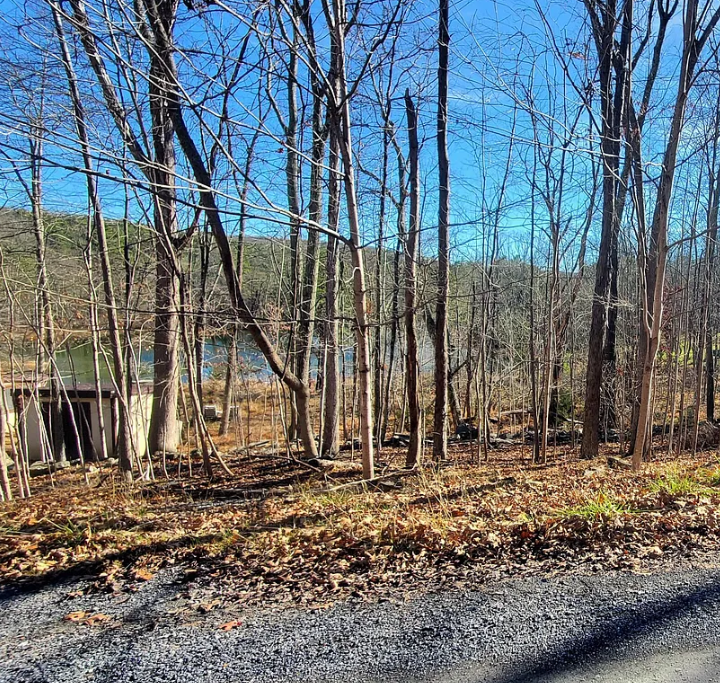 Stony Hollow Photo 3.png