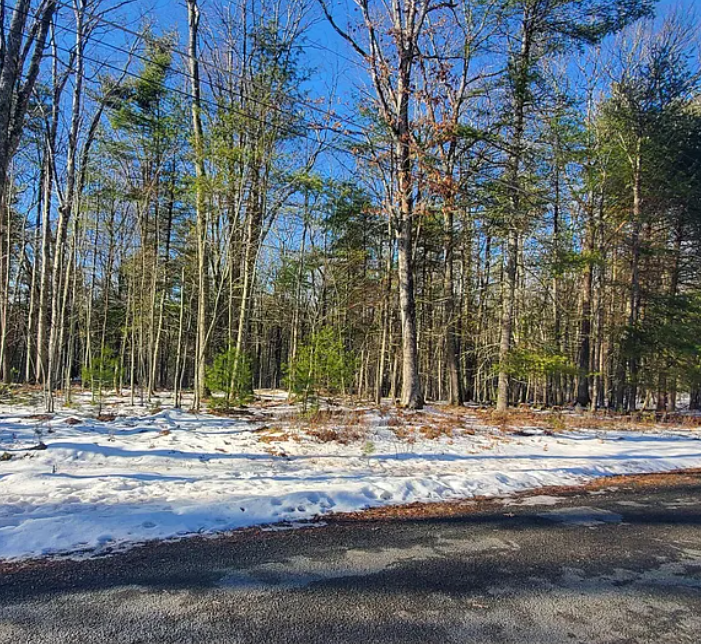 Hawks Nest Photo 2.png