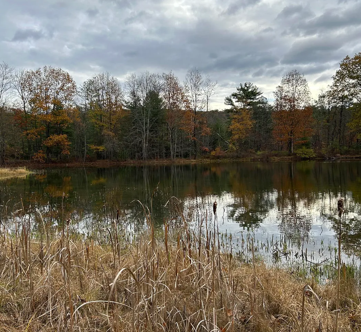 Stony Hollow Photo 4.png