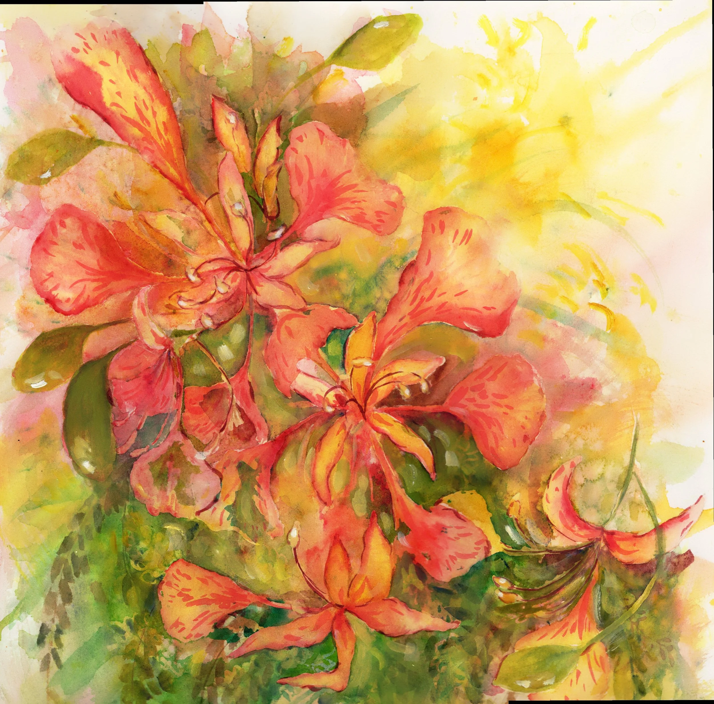 June Bloom.jpg