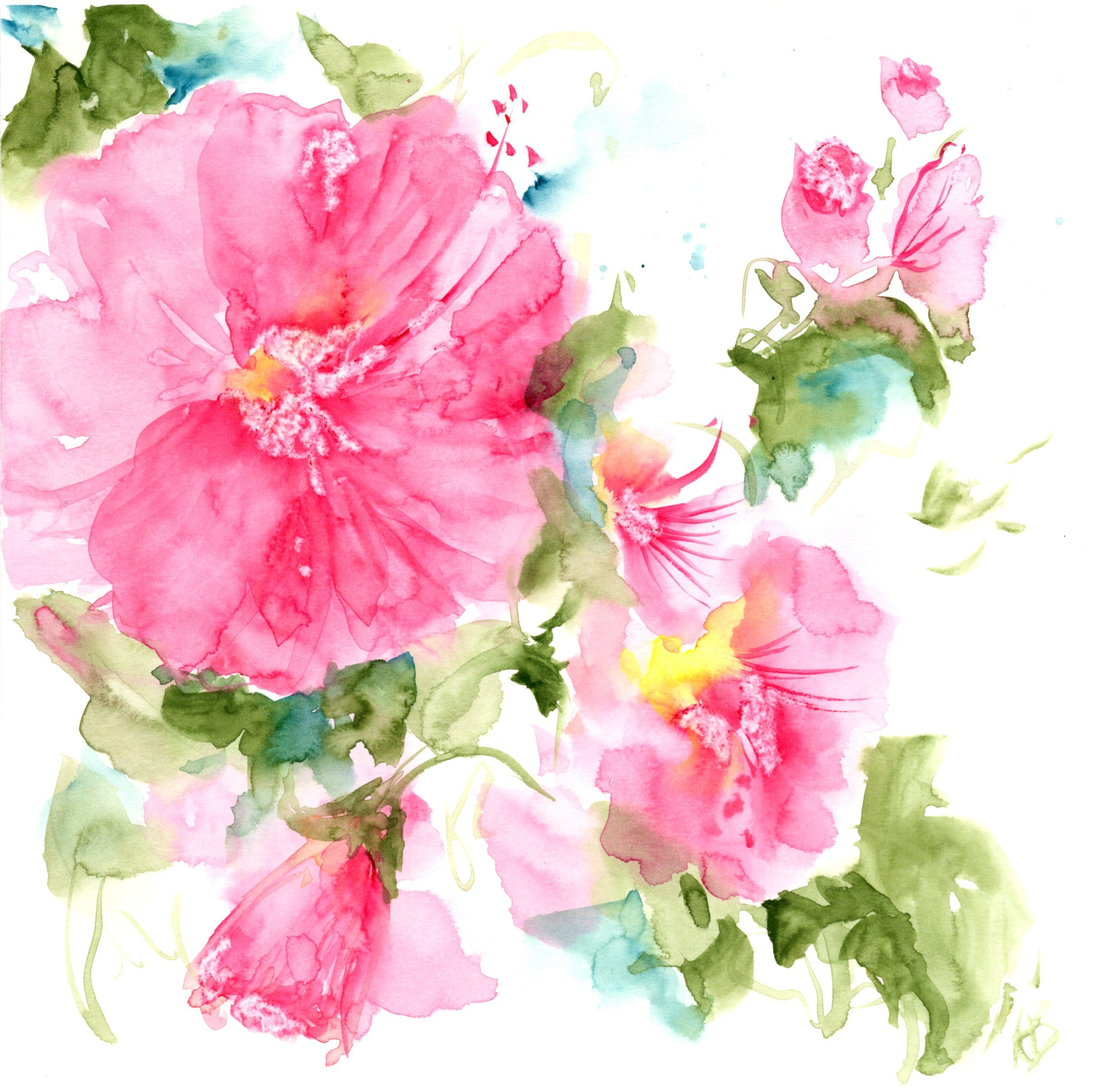 Hibiscus_20260321_lowres.jpeg