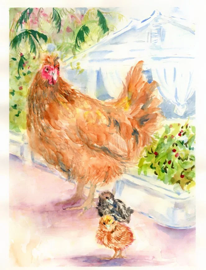 World Watercolor Month: Day 3 — A Holiday Weekend with Chickens 