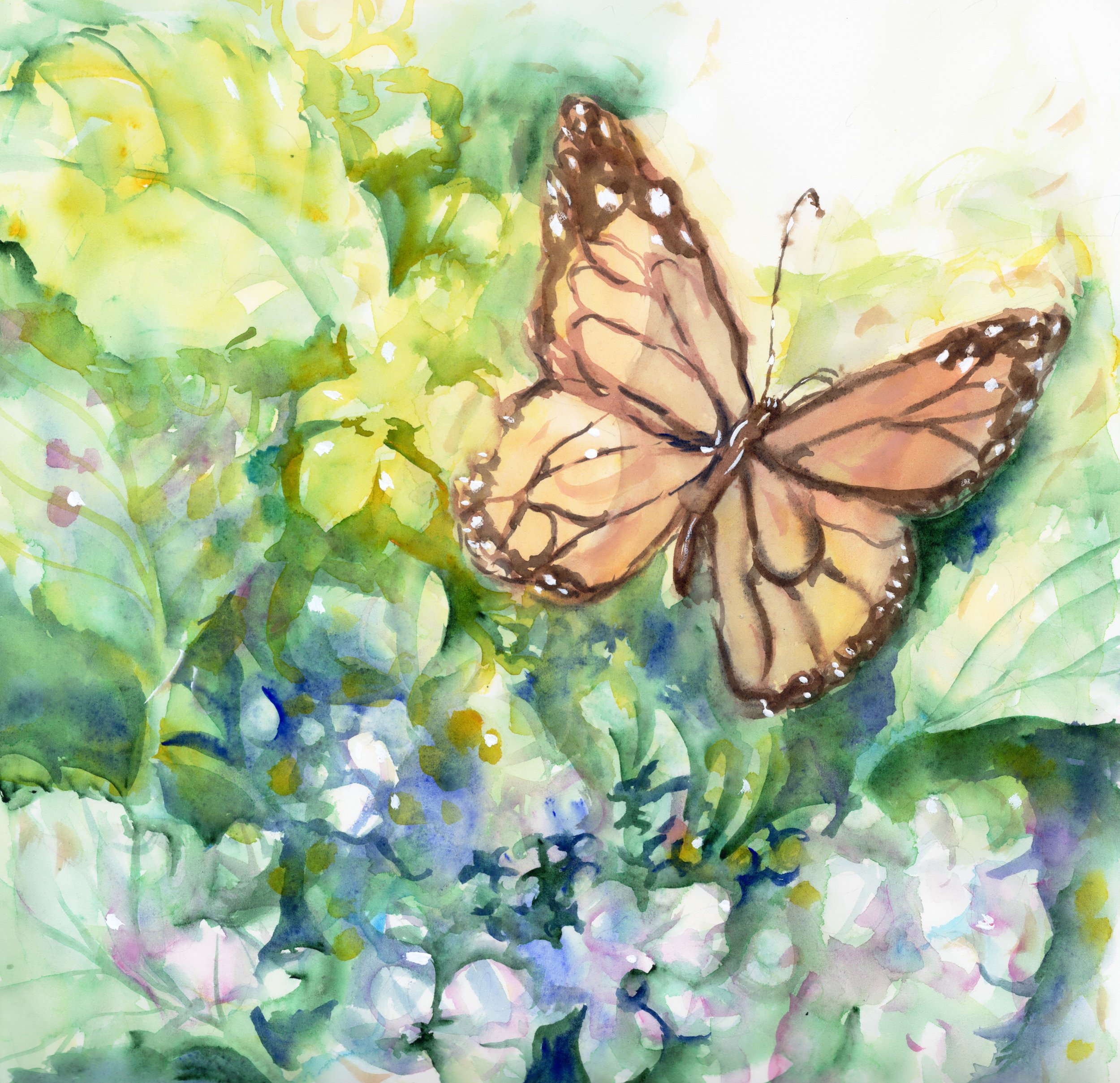 botanicalbutterfly_20260321_lowres.jpeg