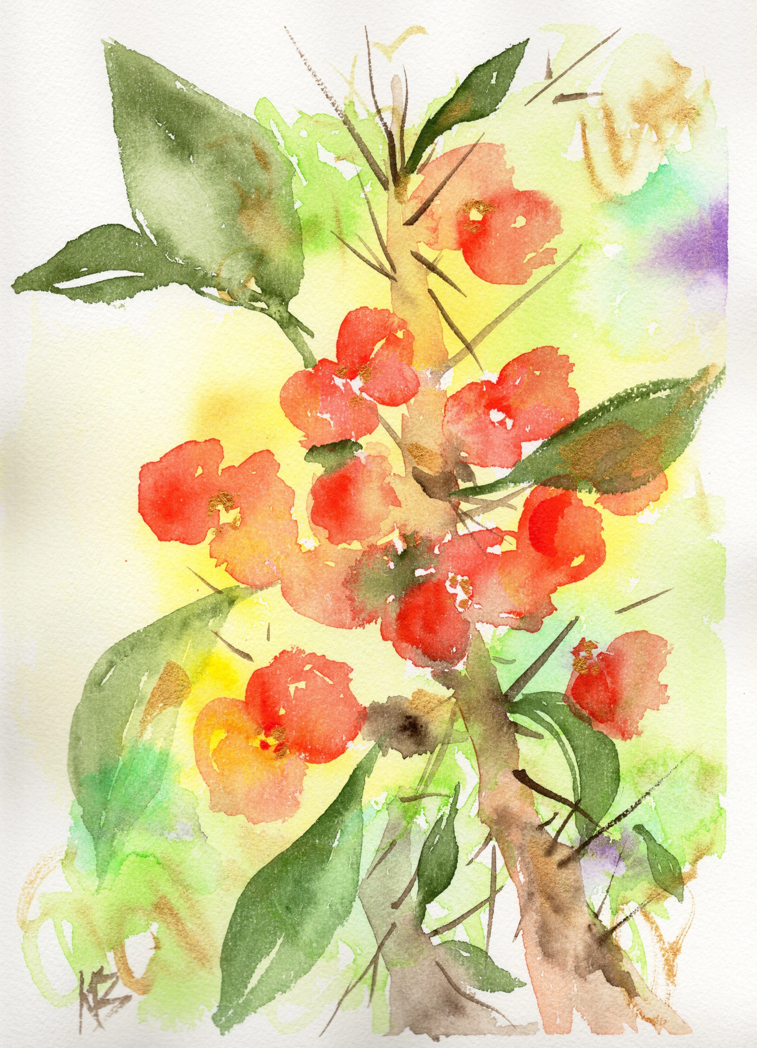 crown of thorns_20260321_lowres.jpeg