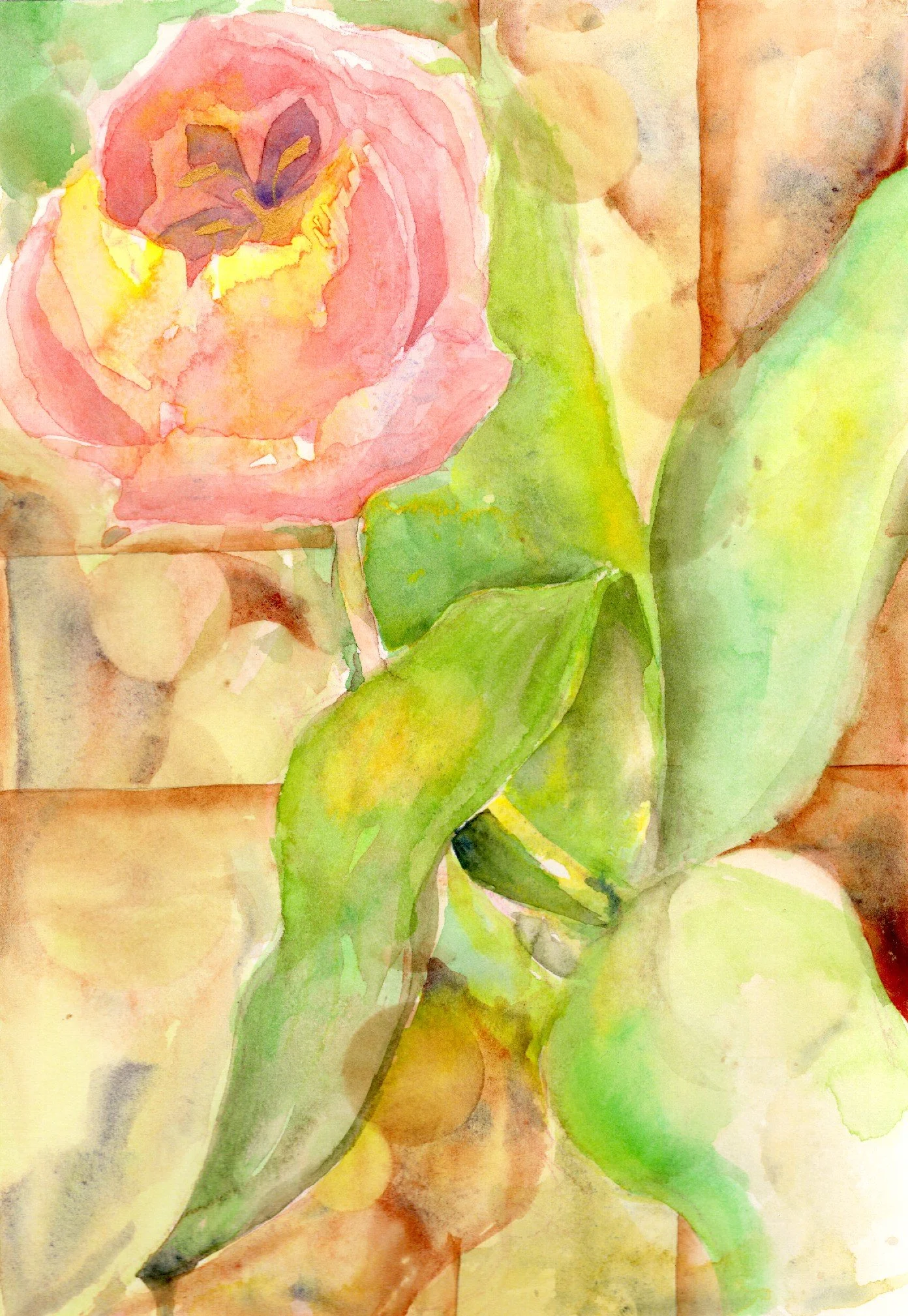 tulip_20260321_lowres.jpeg