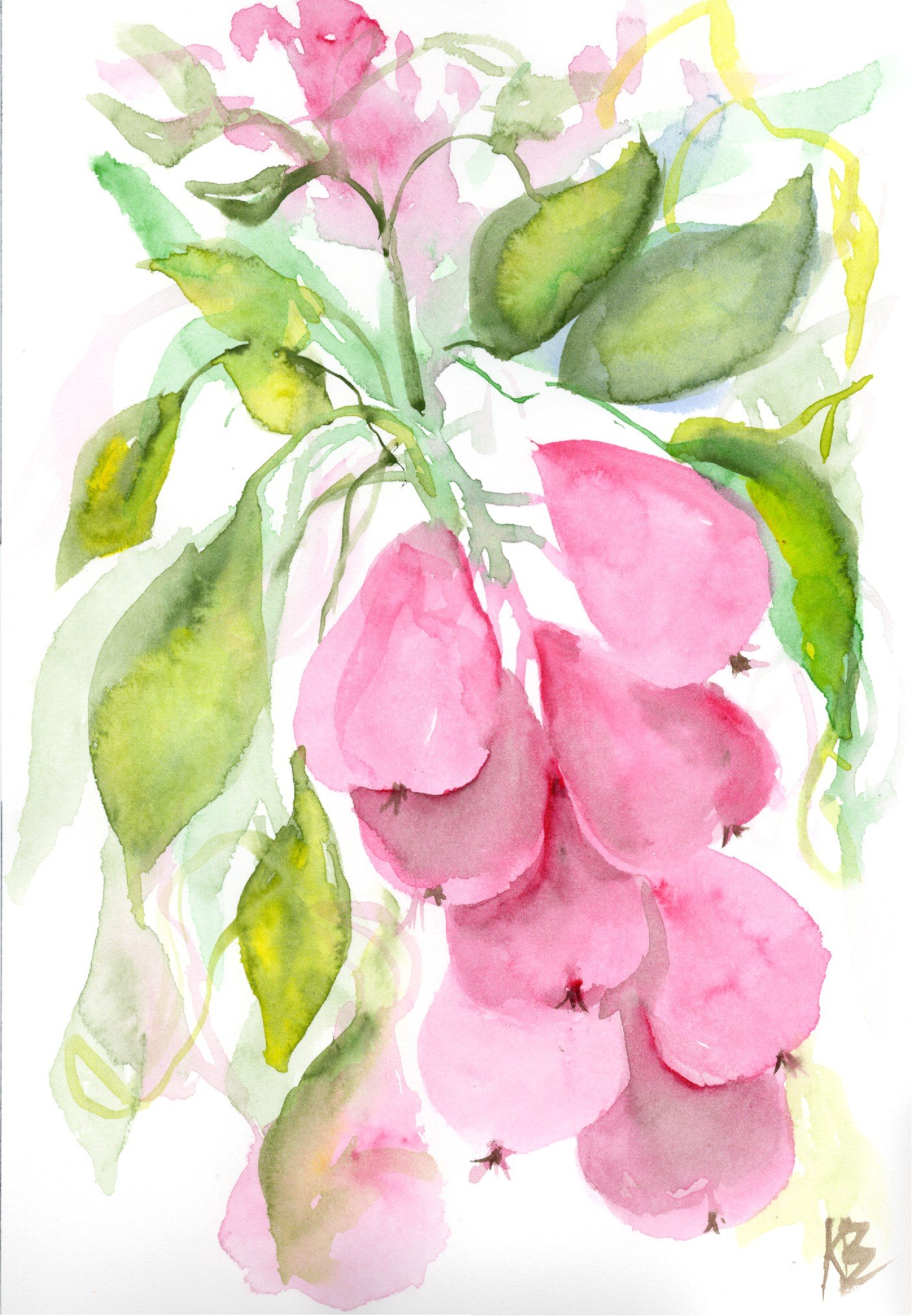 redfruit_20260321_lowres.jpeg