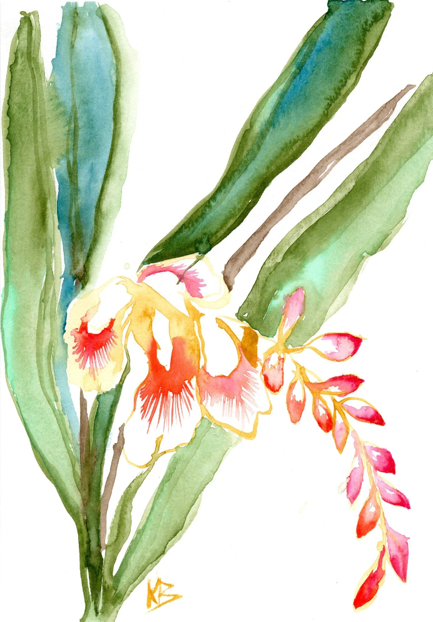 tropicalplant_lowres.jpeg