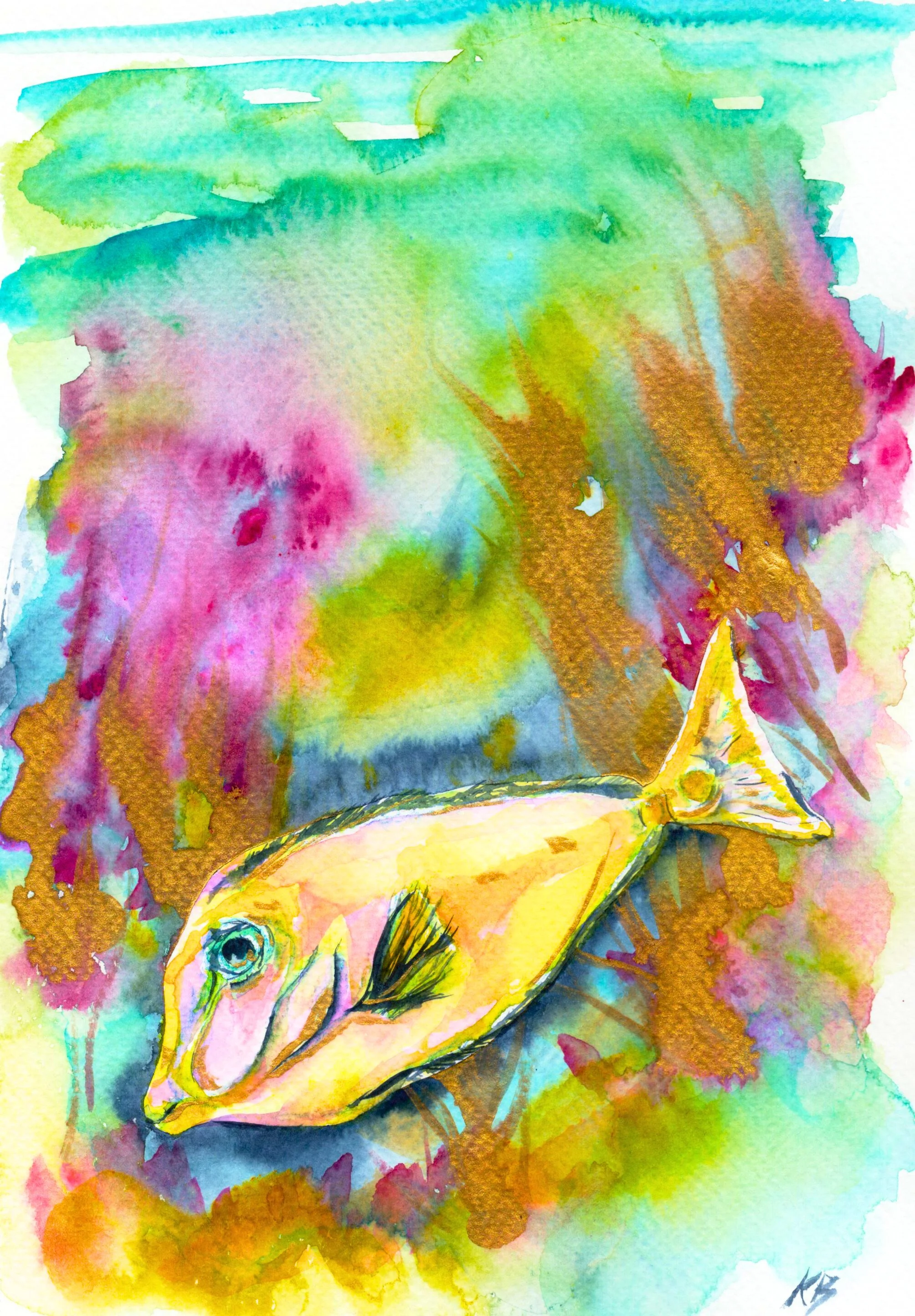 colorful fish.jpg