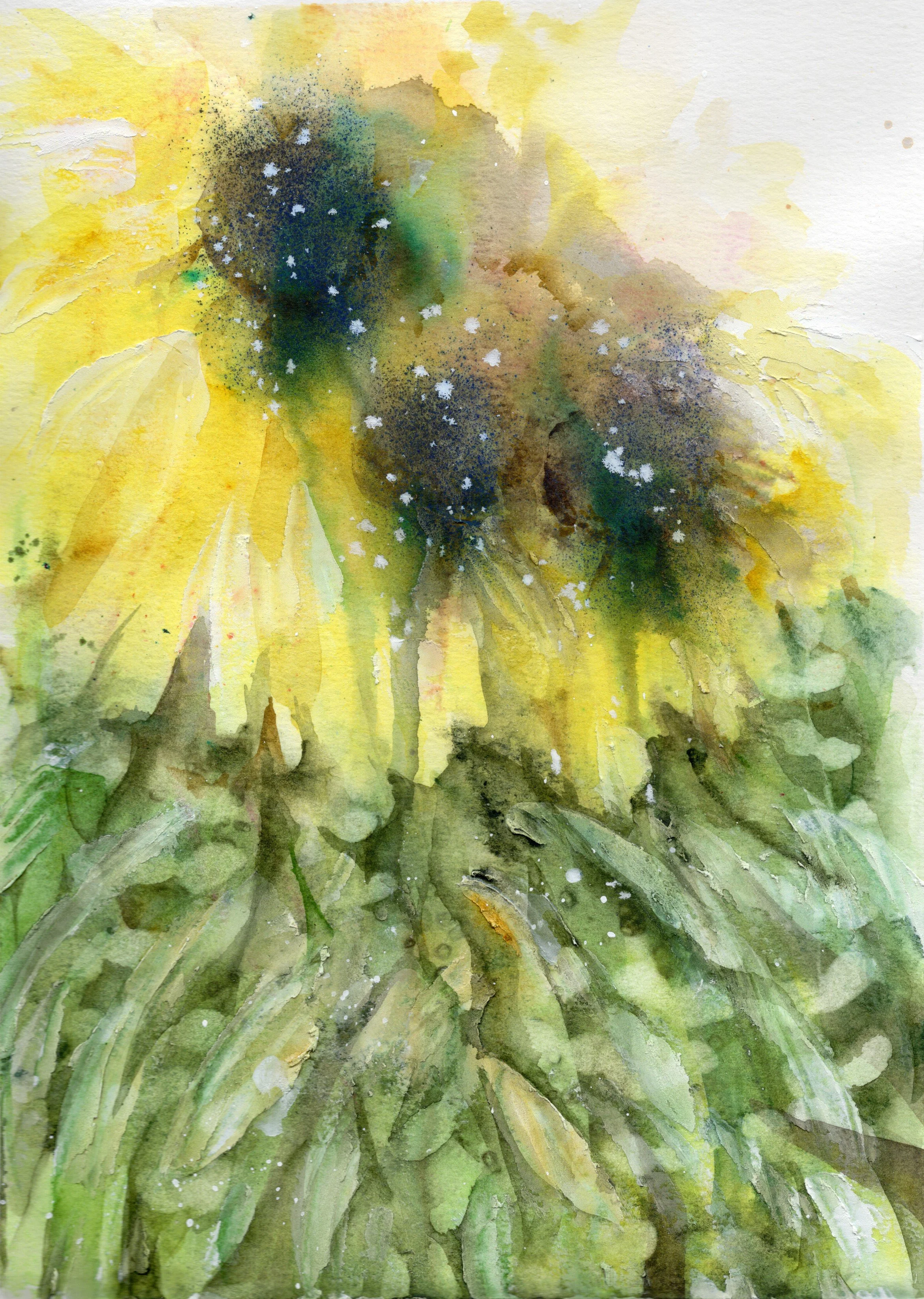 abstractflower_20260321_lowres.jpeg