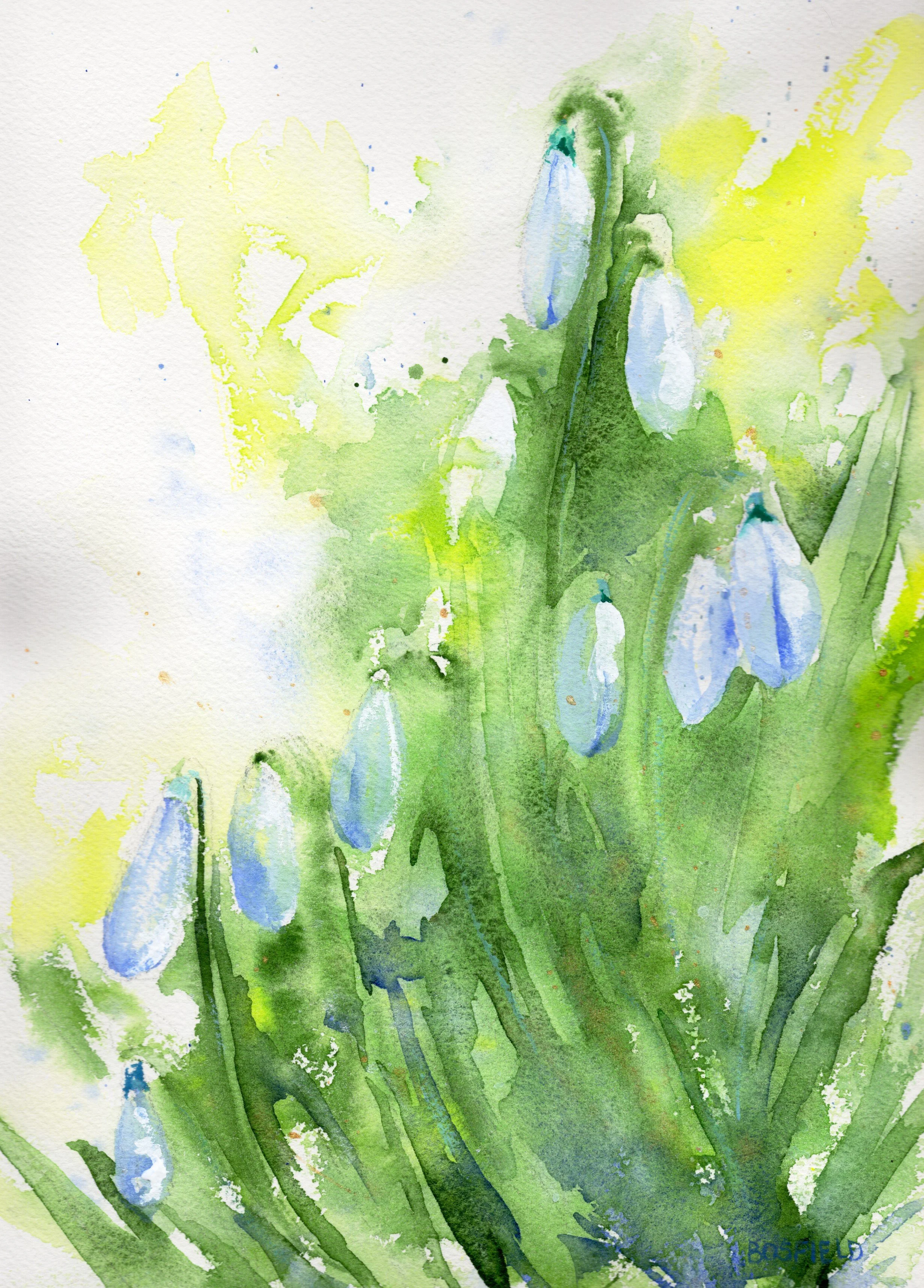 snowdrops_20260321_lowres.jpeg
