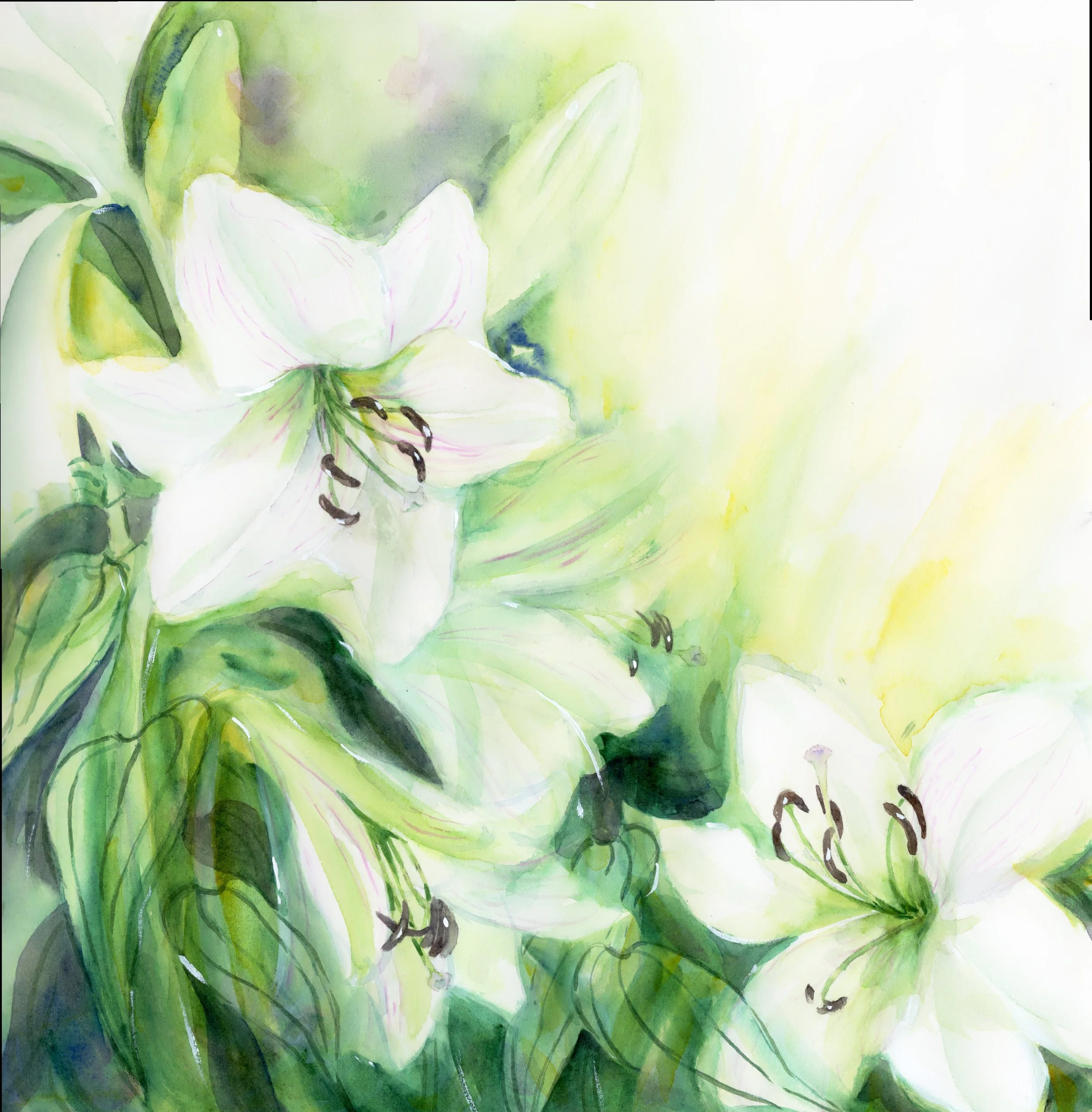 Mothers Lillies.jpg