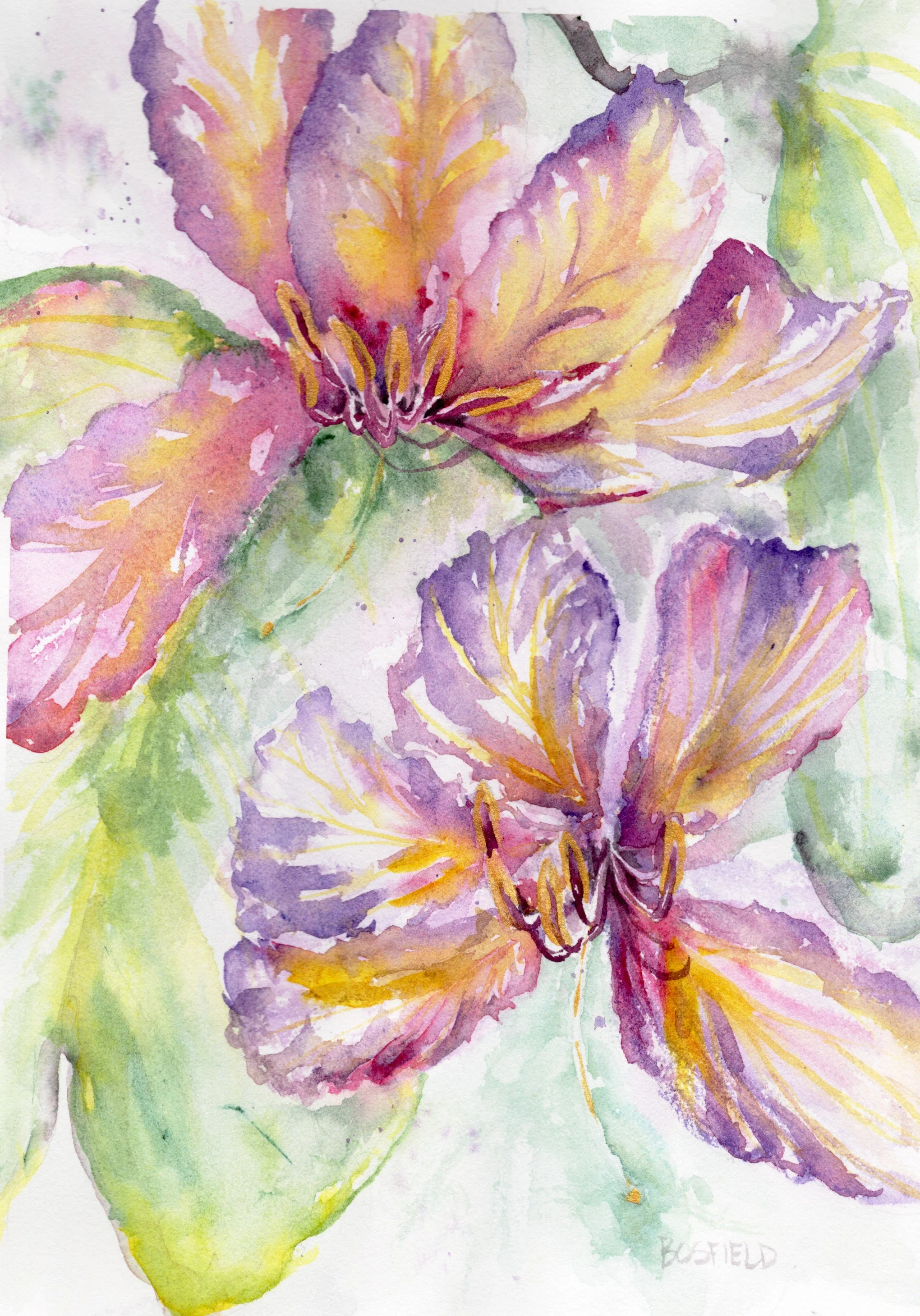 purpleflower_20260321_lowres_0001.jpeg