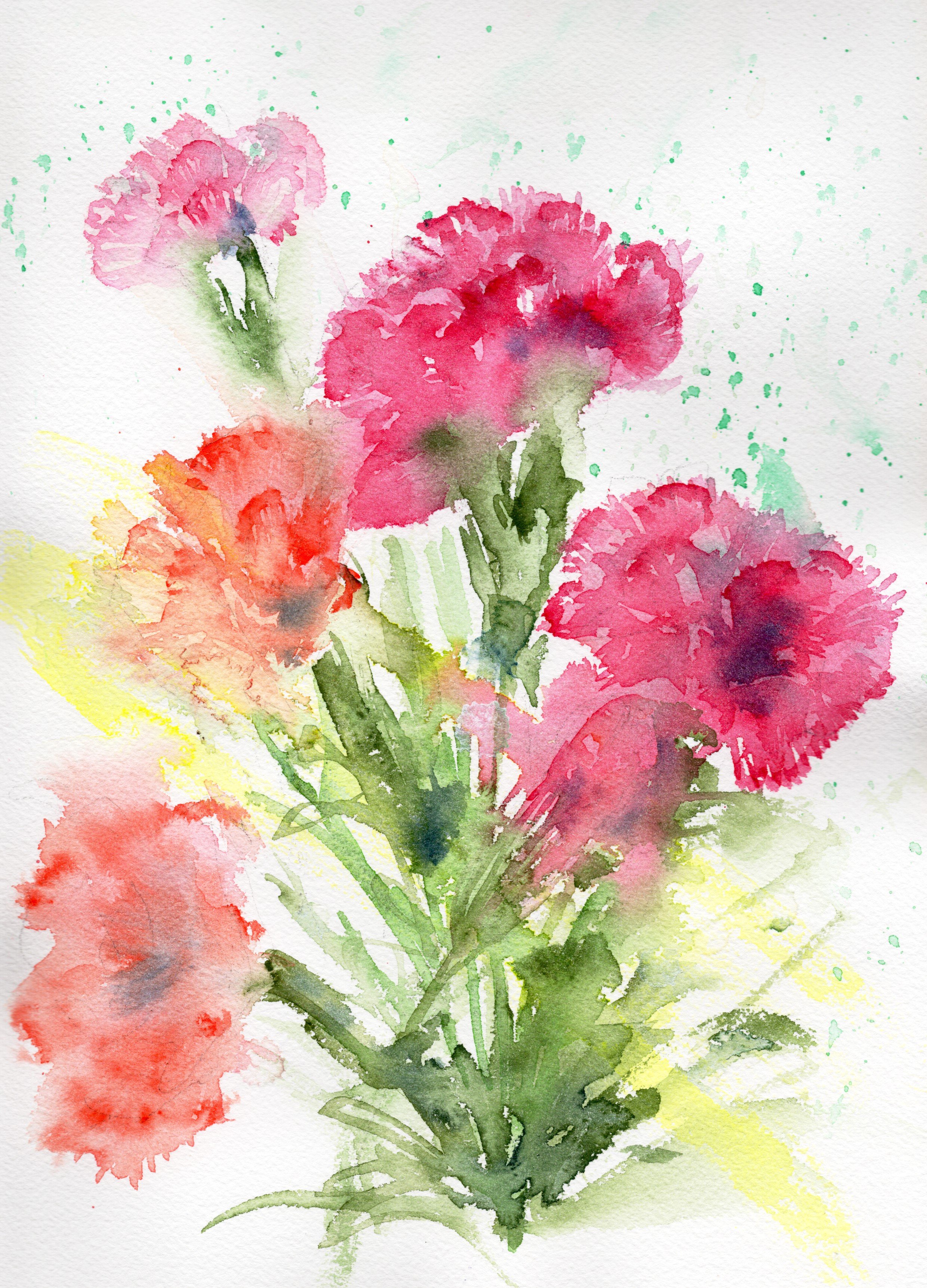 Carnations_20260321_lowres.jpeg