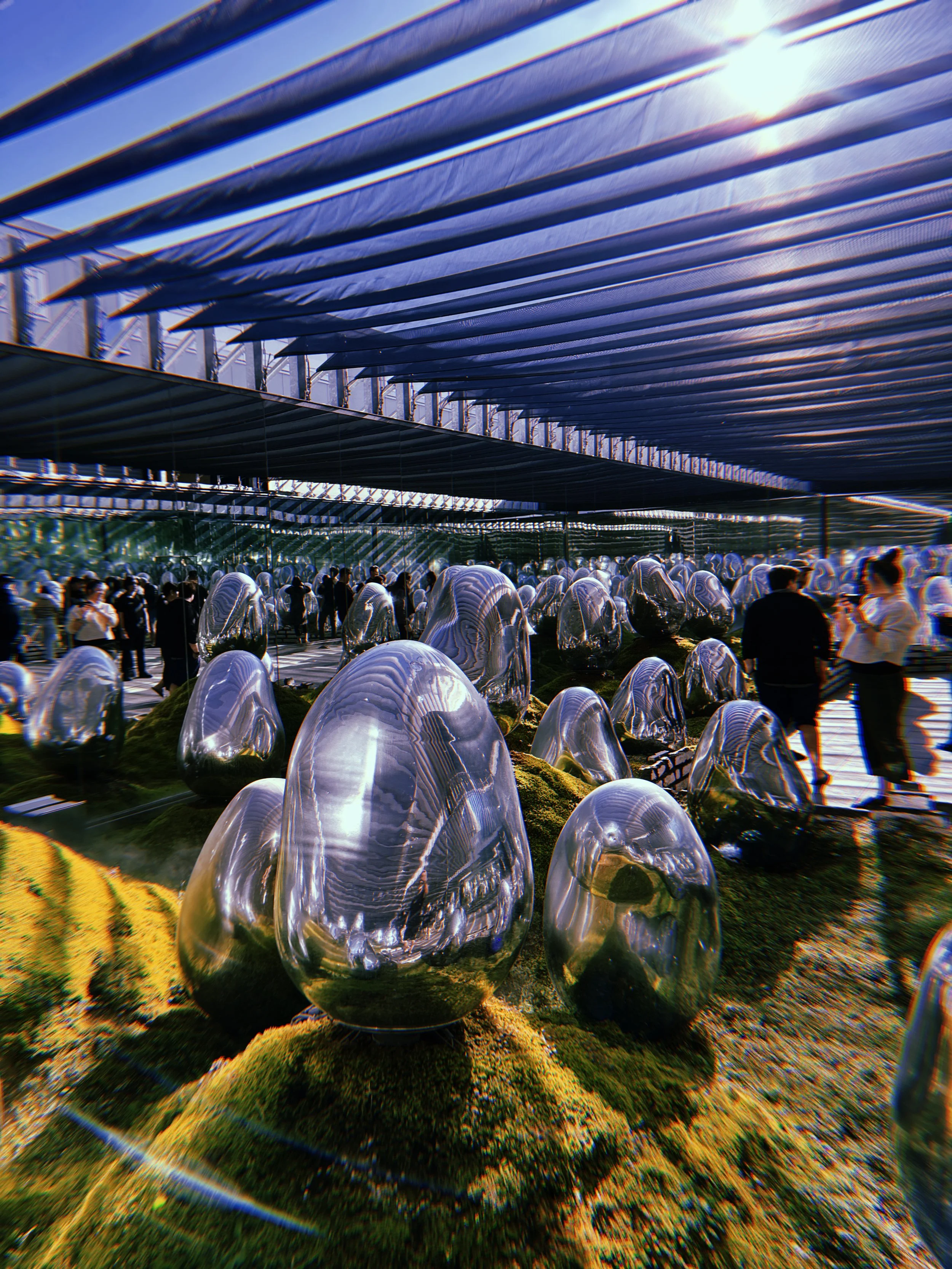 2024-11-19 13:40:41.908.jpeg