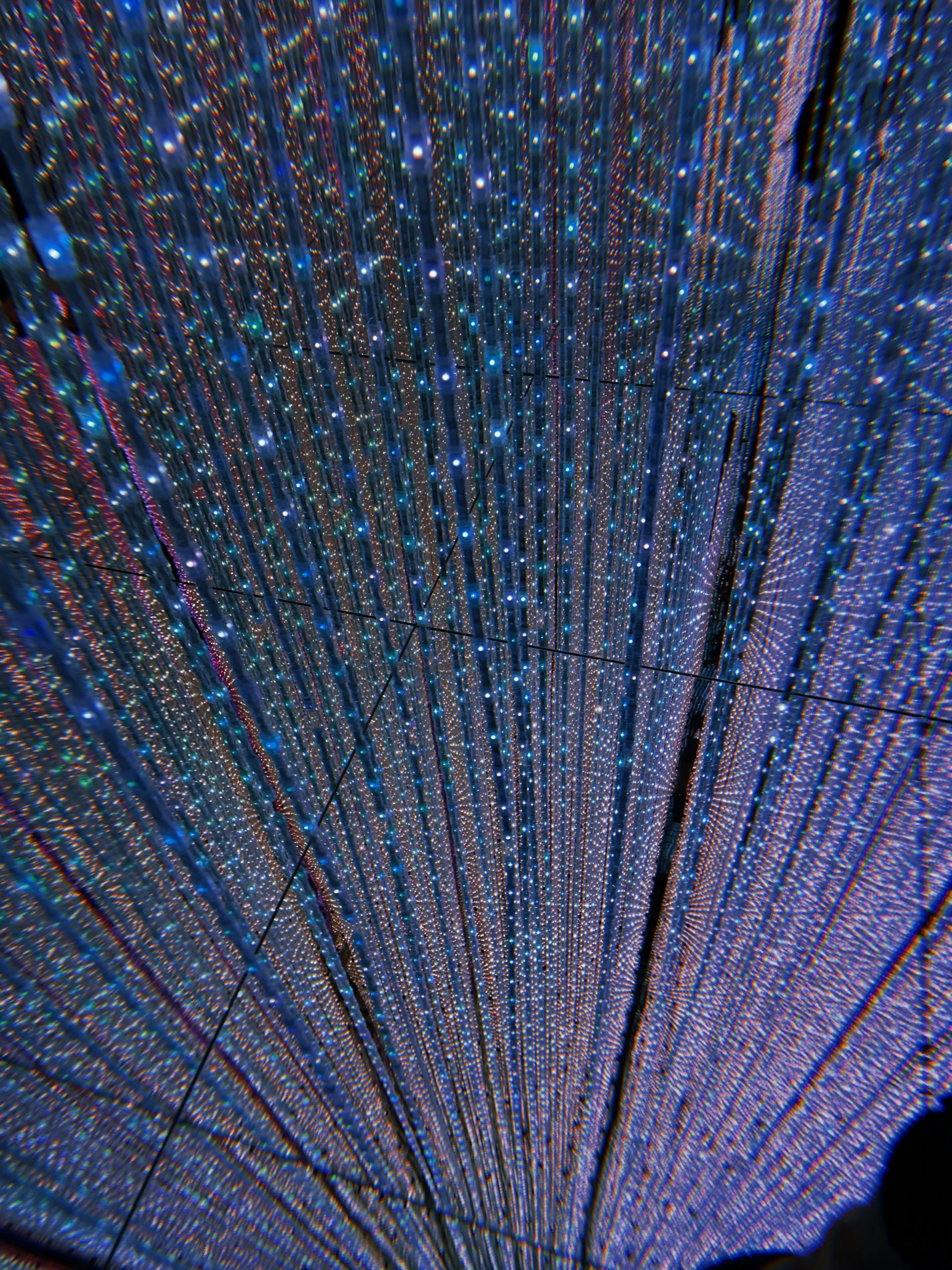 2024-11-19 13:07:35.845.jpeg