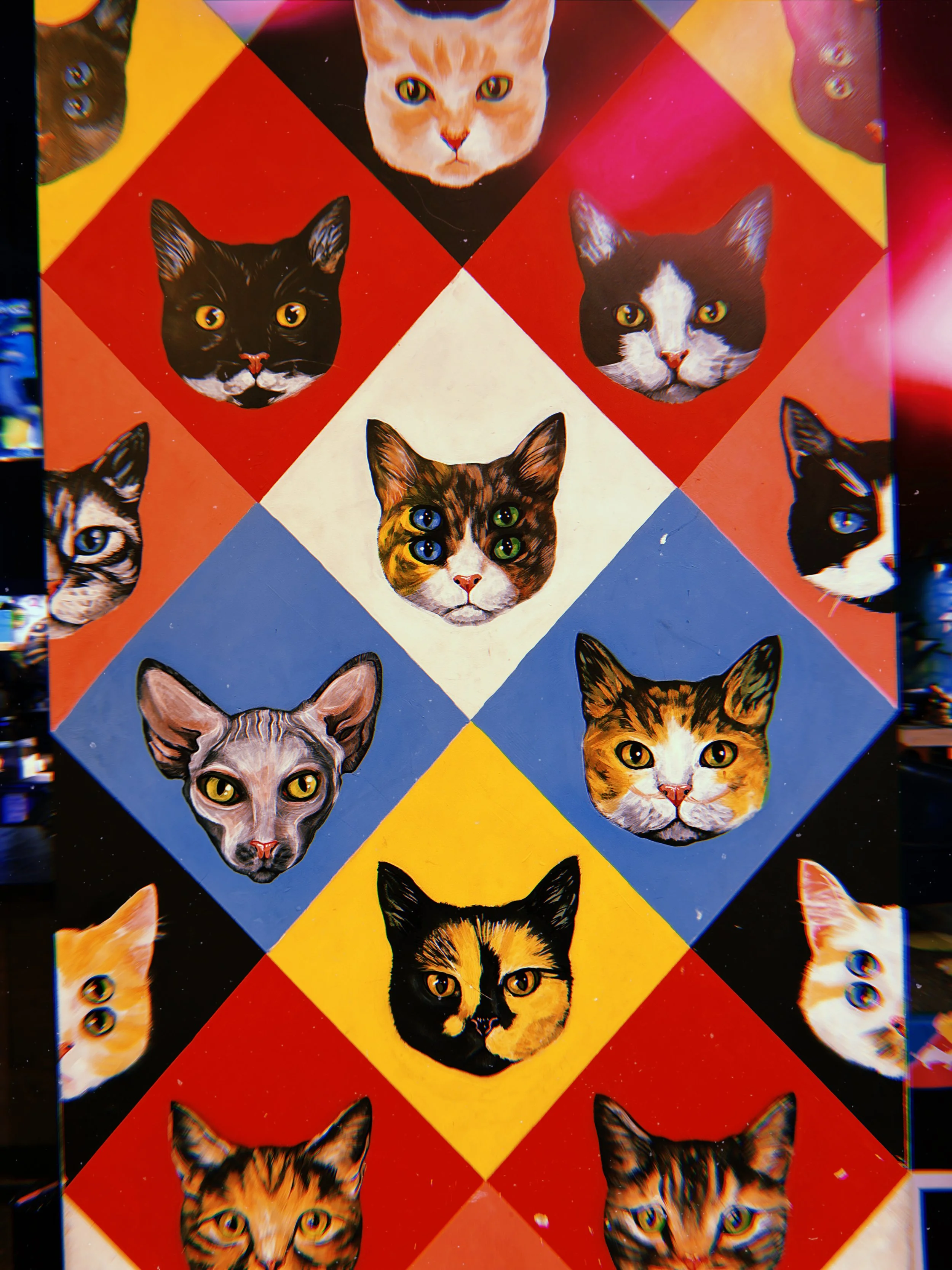 2023-11-18 13:15:52.281.jpeg