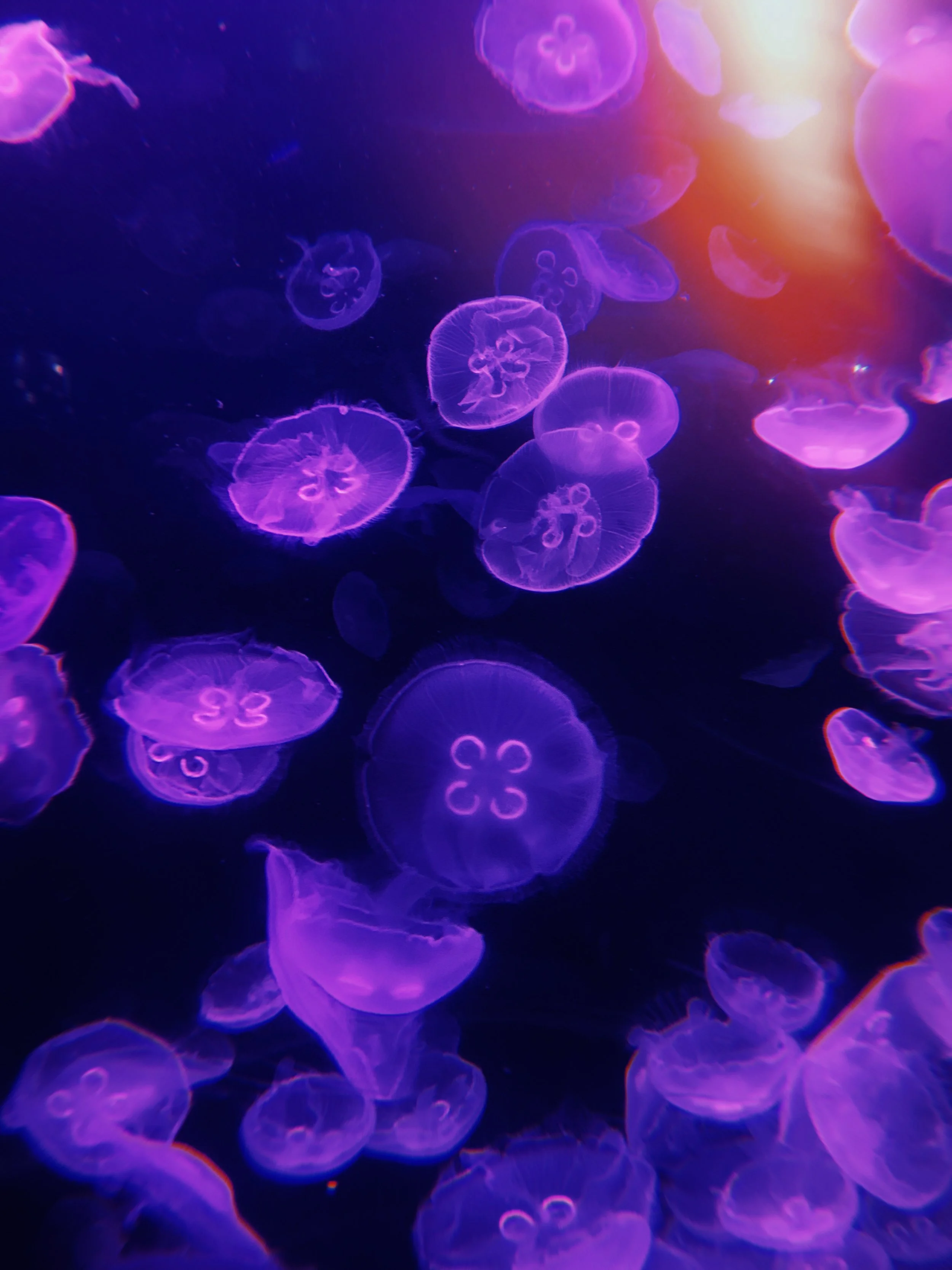 2021-01-10 13:16:25.974.jpeg