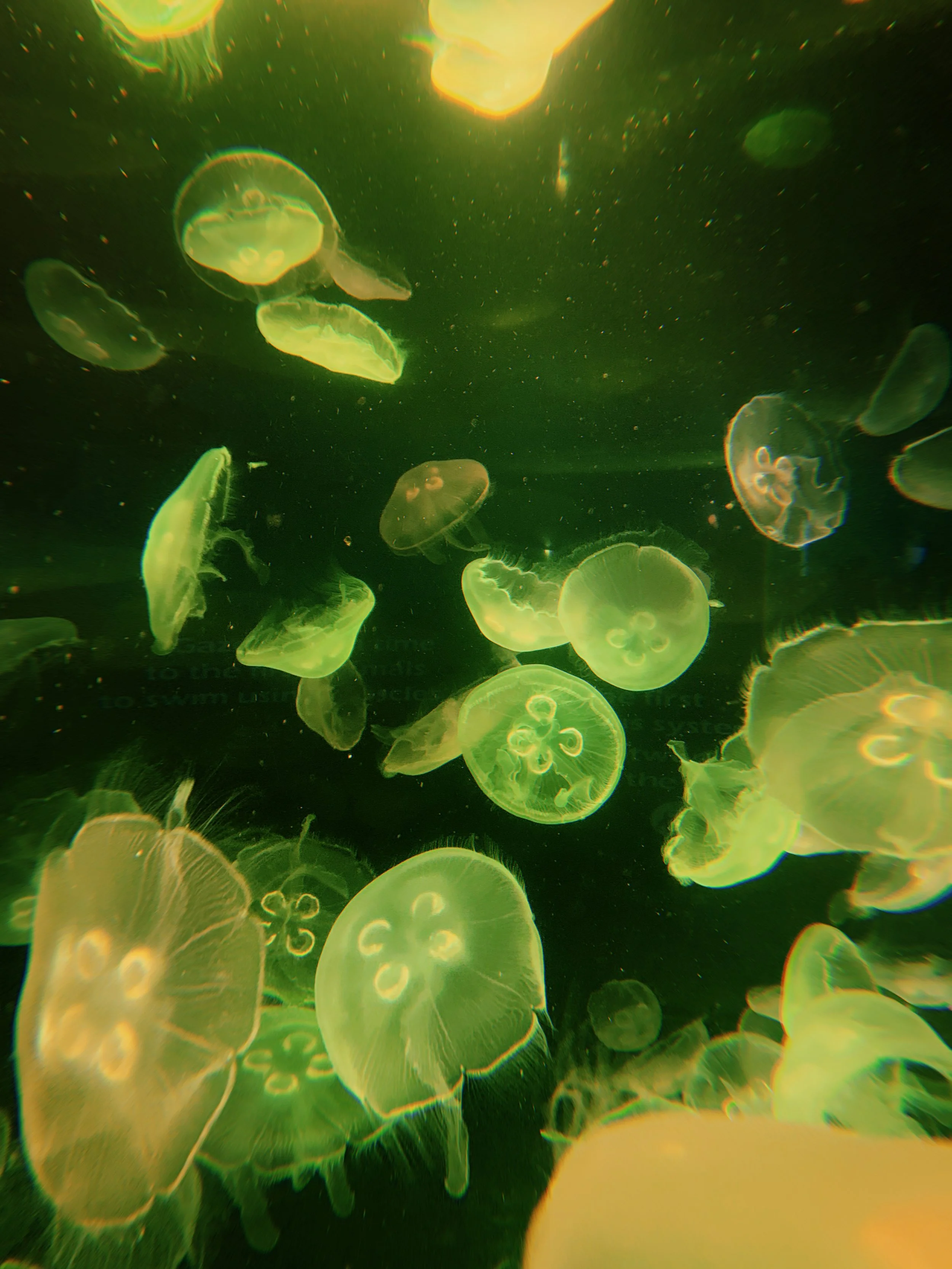 2021-01-10 13:16:09.341.jpeg