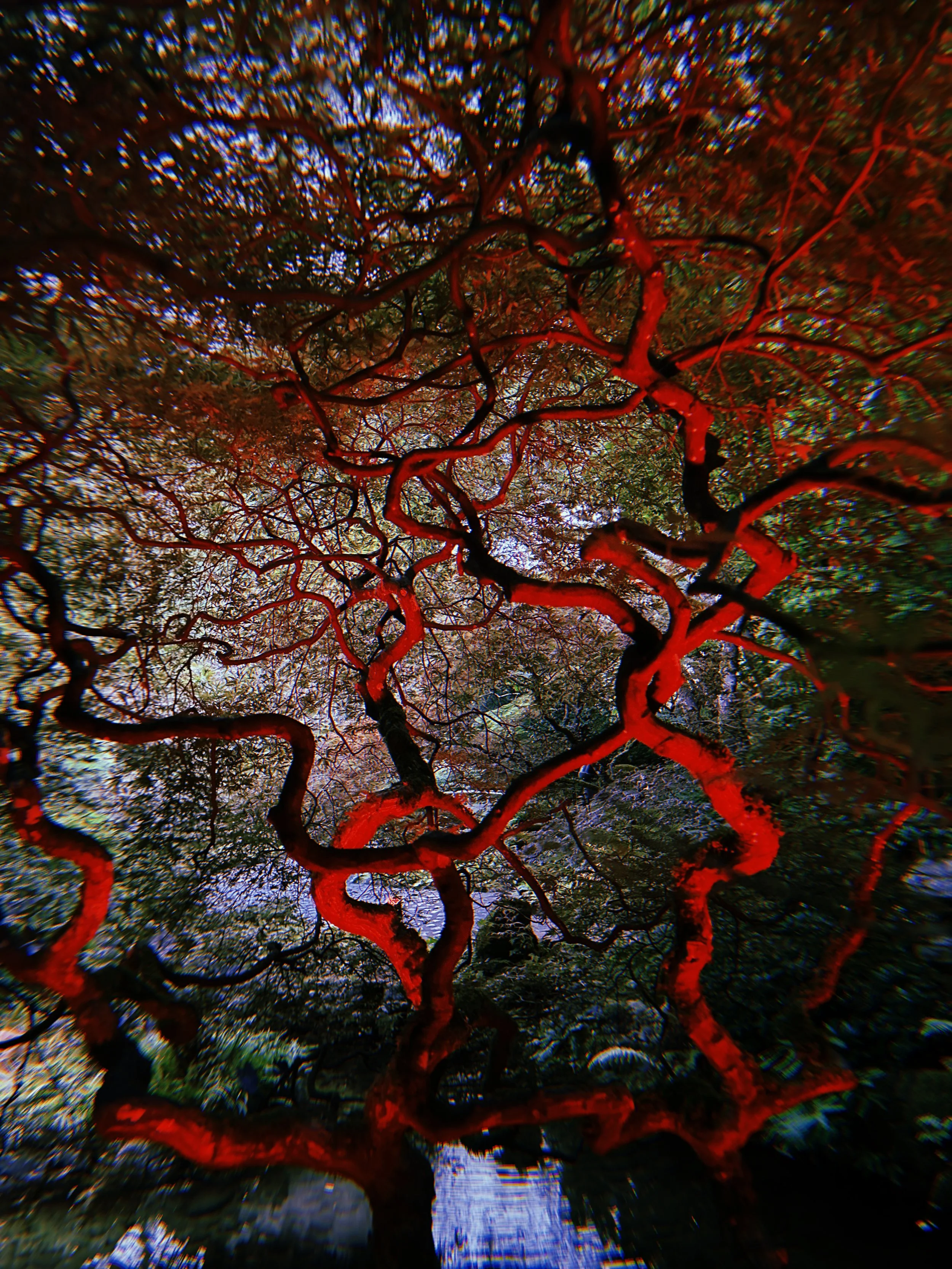 2024-09-05 19:45:22.903.jpeg