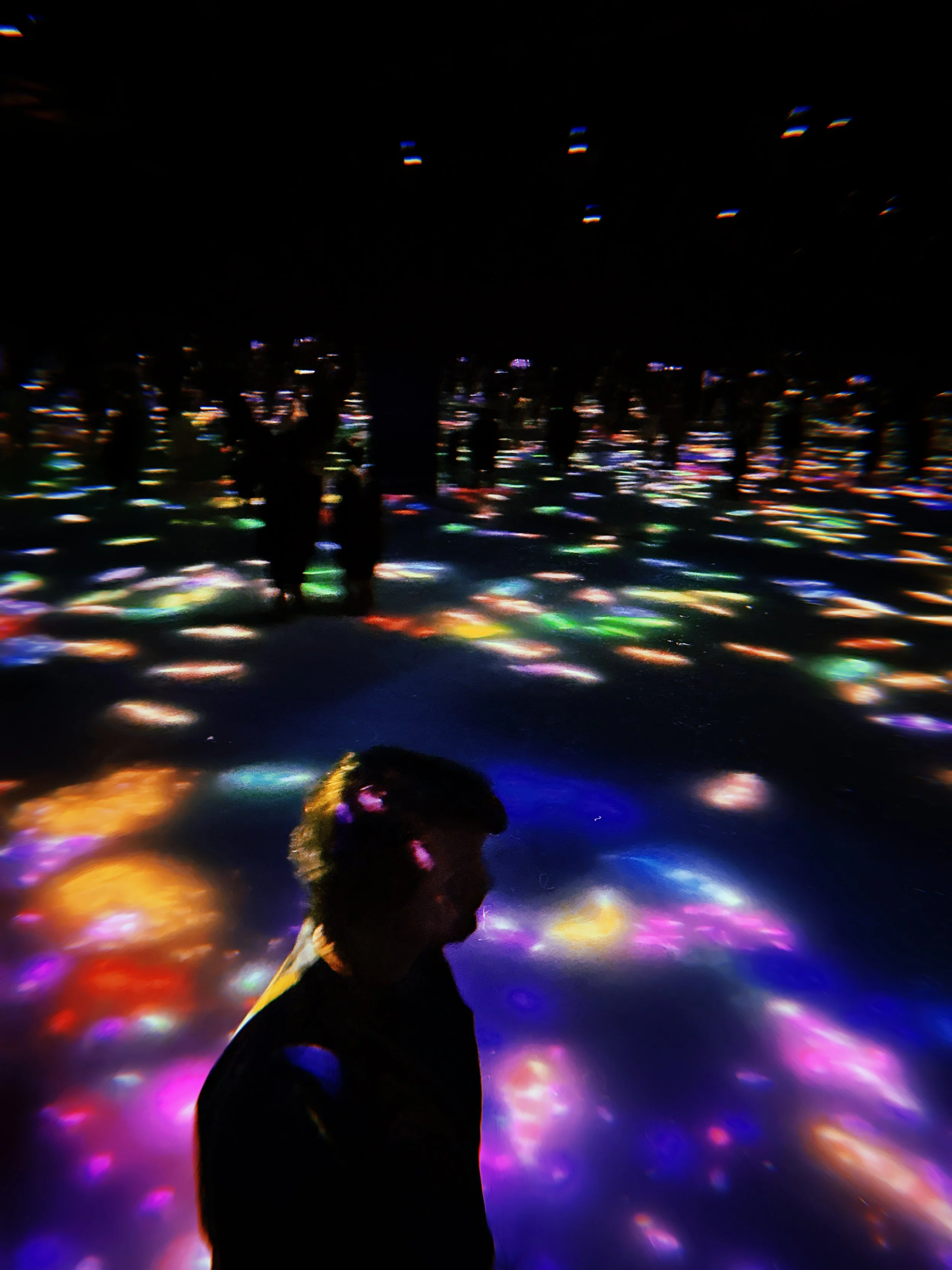 2024-11-19 13:32:50.641.jpeg