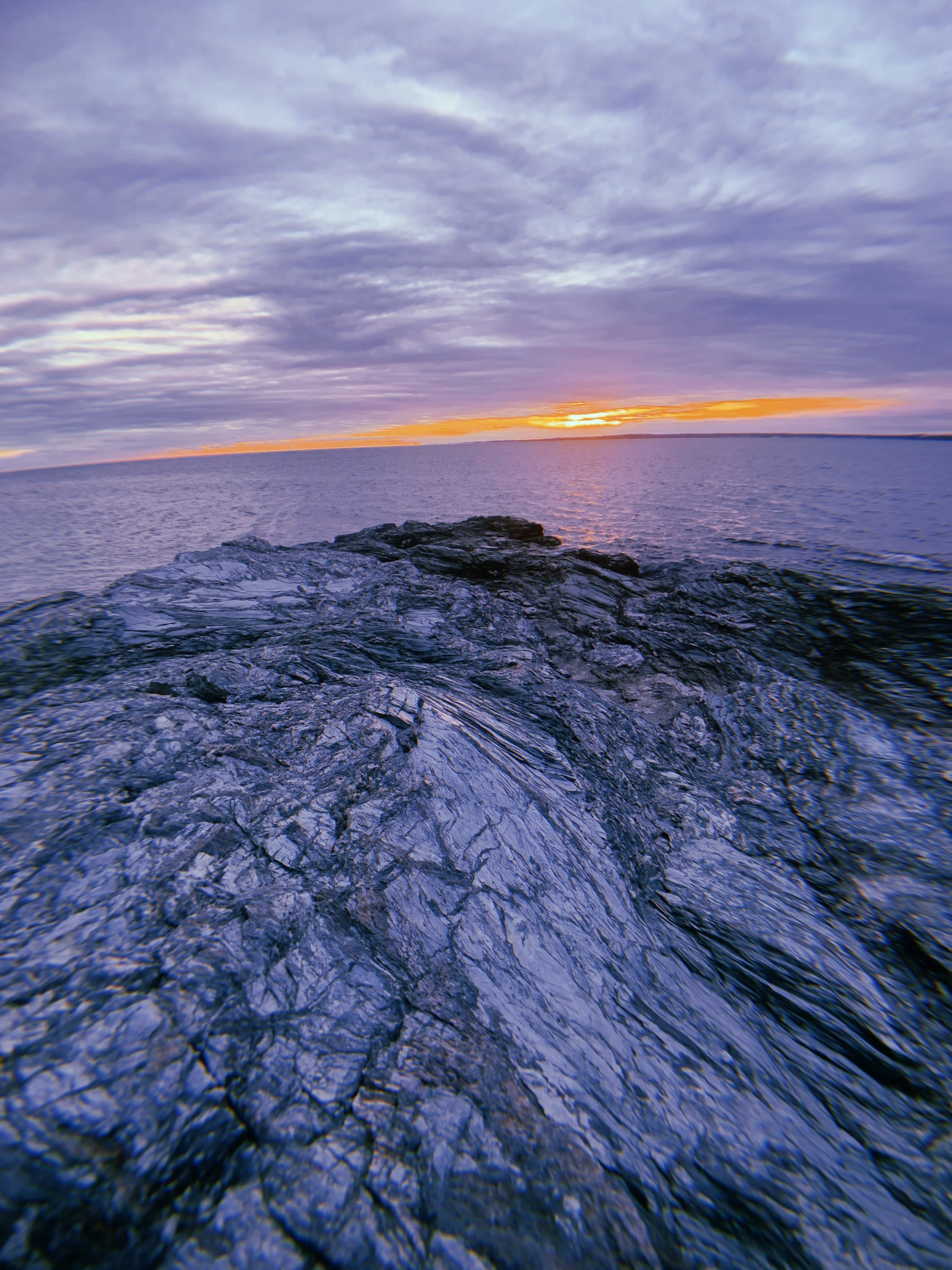 2021-01-09 16:27:58.127.jpeg