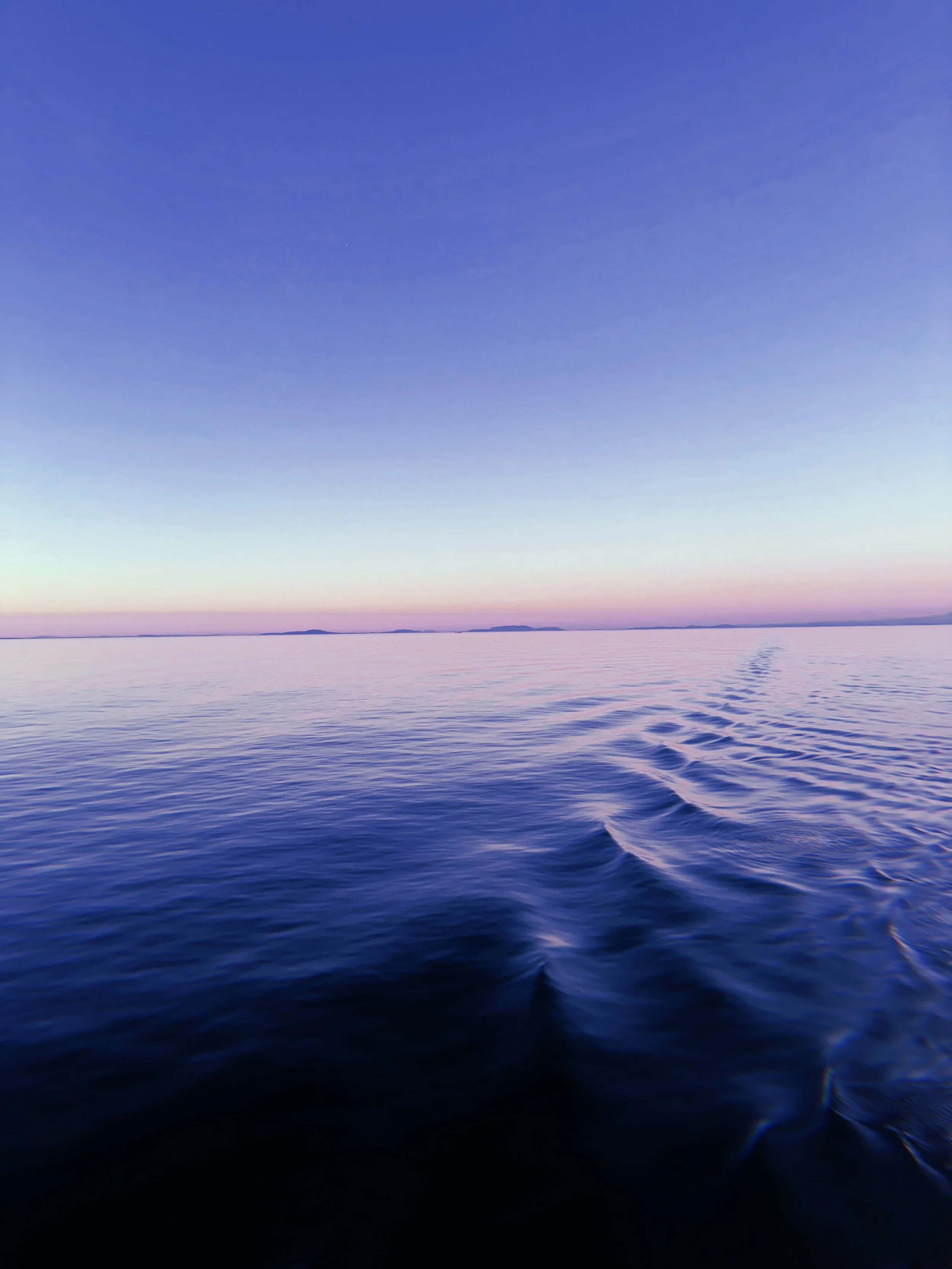 2024-08-30 19:53:18.810.jpeg