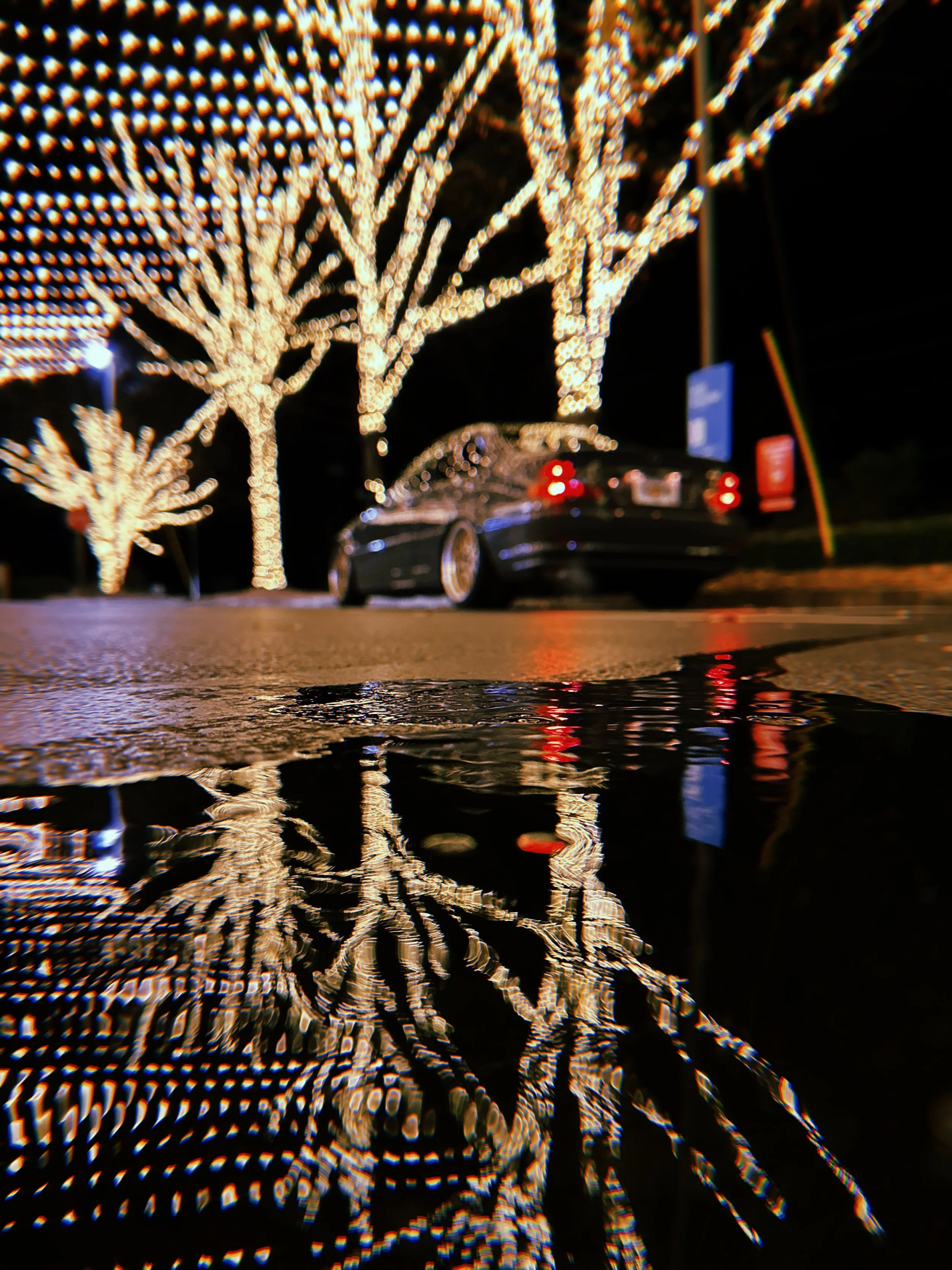 2022-12-19 22:12:36.823.jpeg