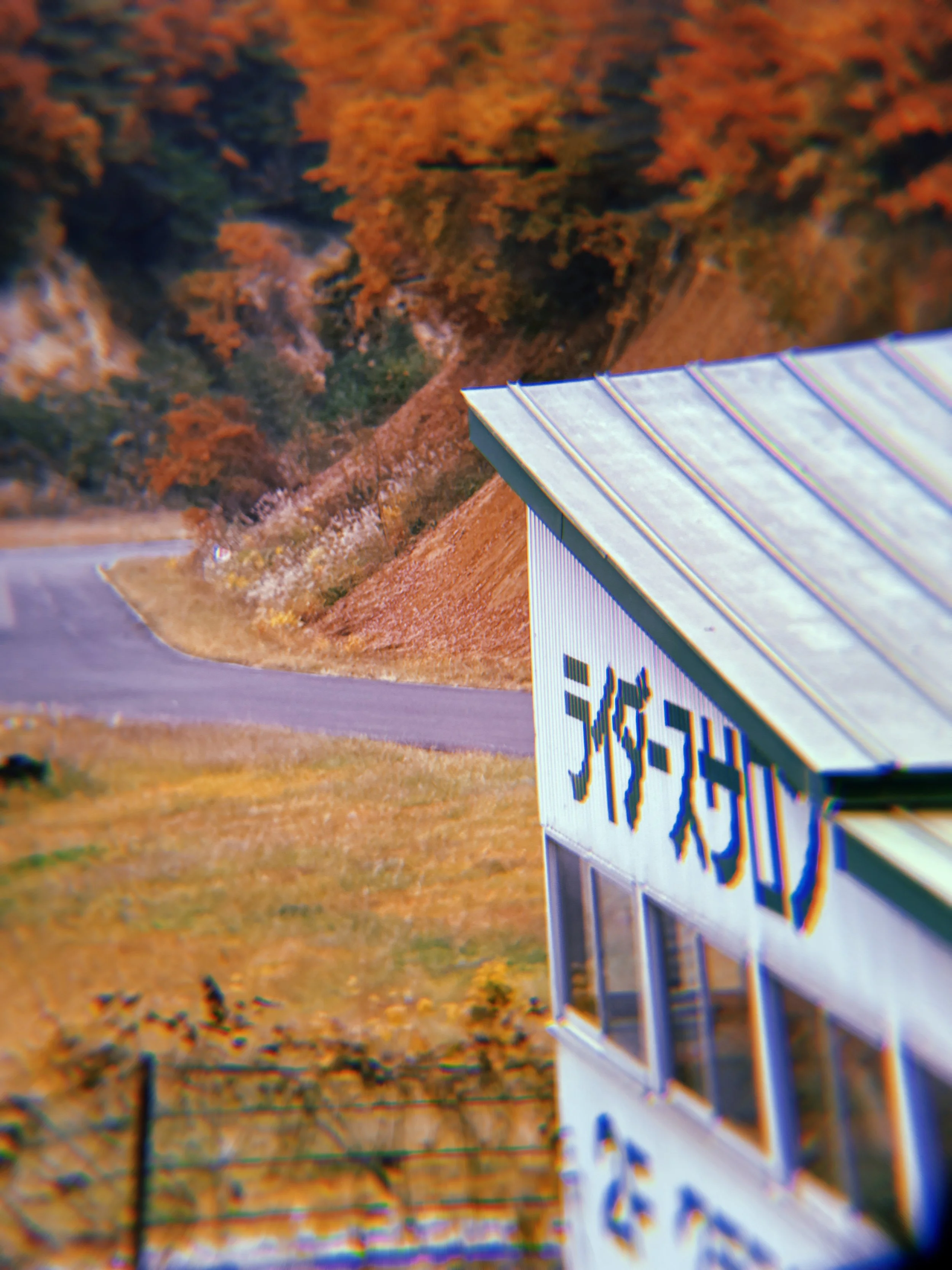 2024-11-16 14:42:34.377.jpeg