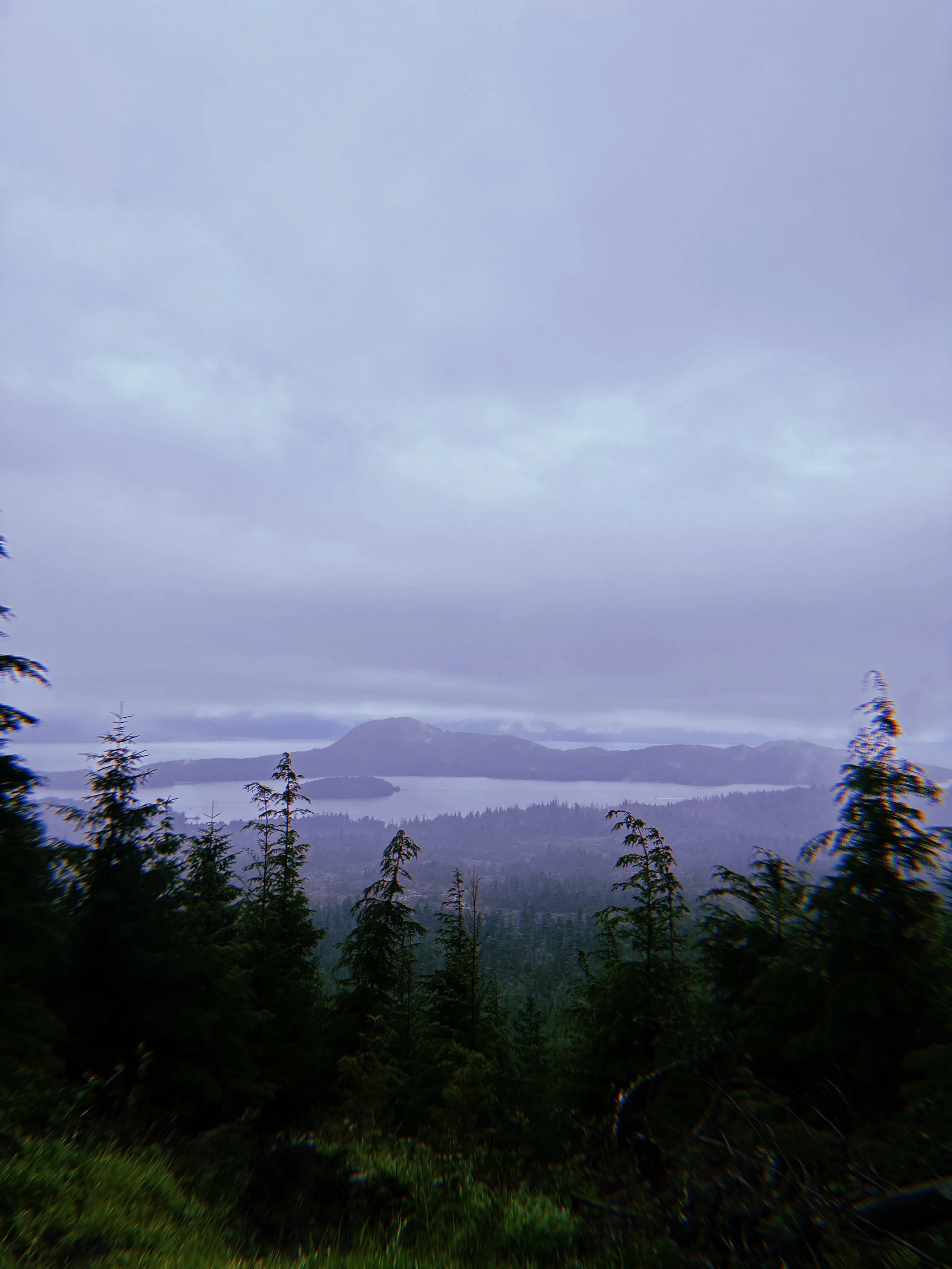 2024-09-01 10:34:08.114.jpeg