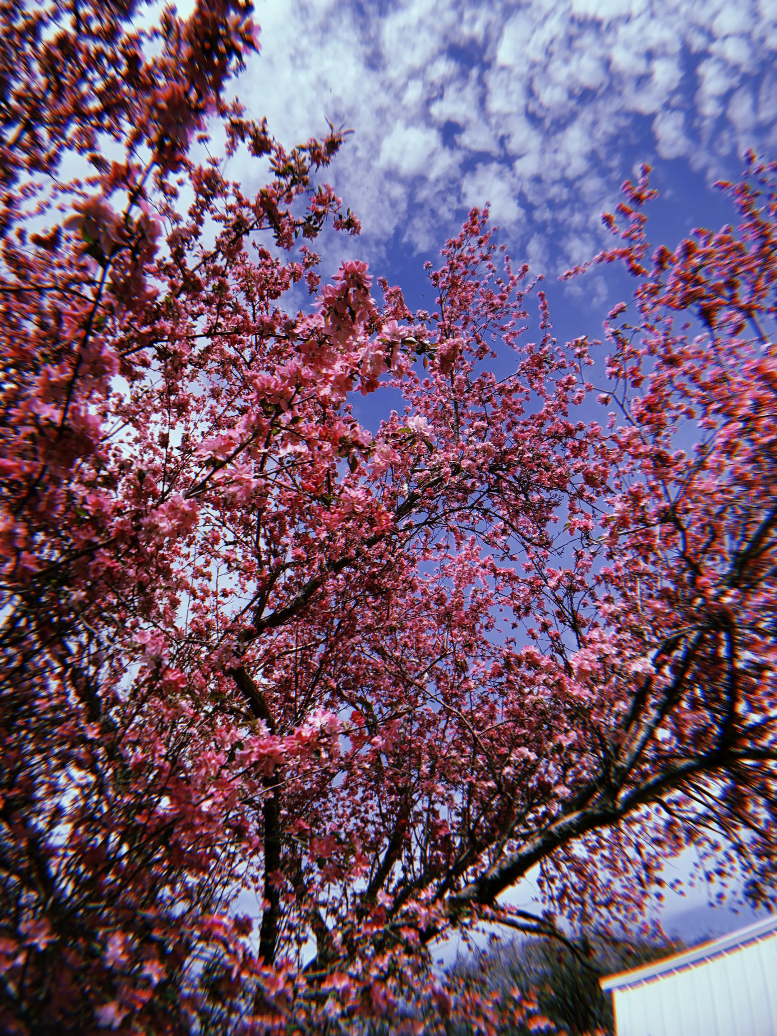 2022-03-30 15:10:37.779.jpeg