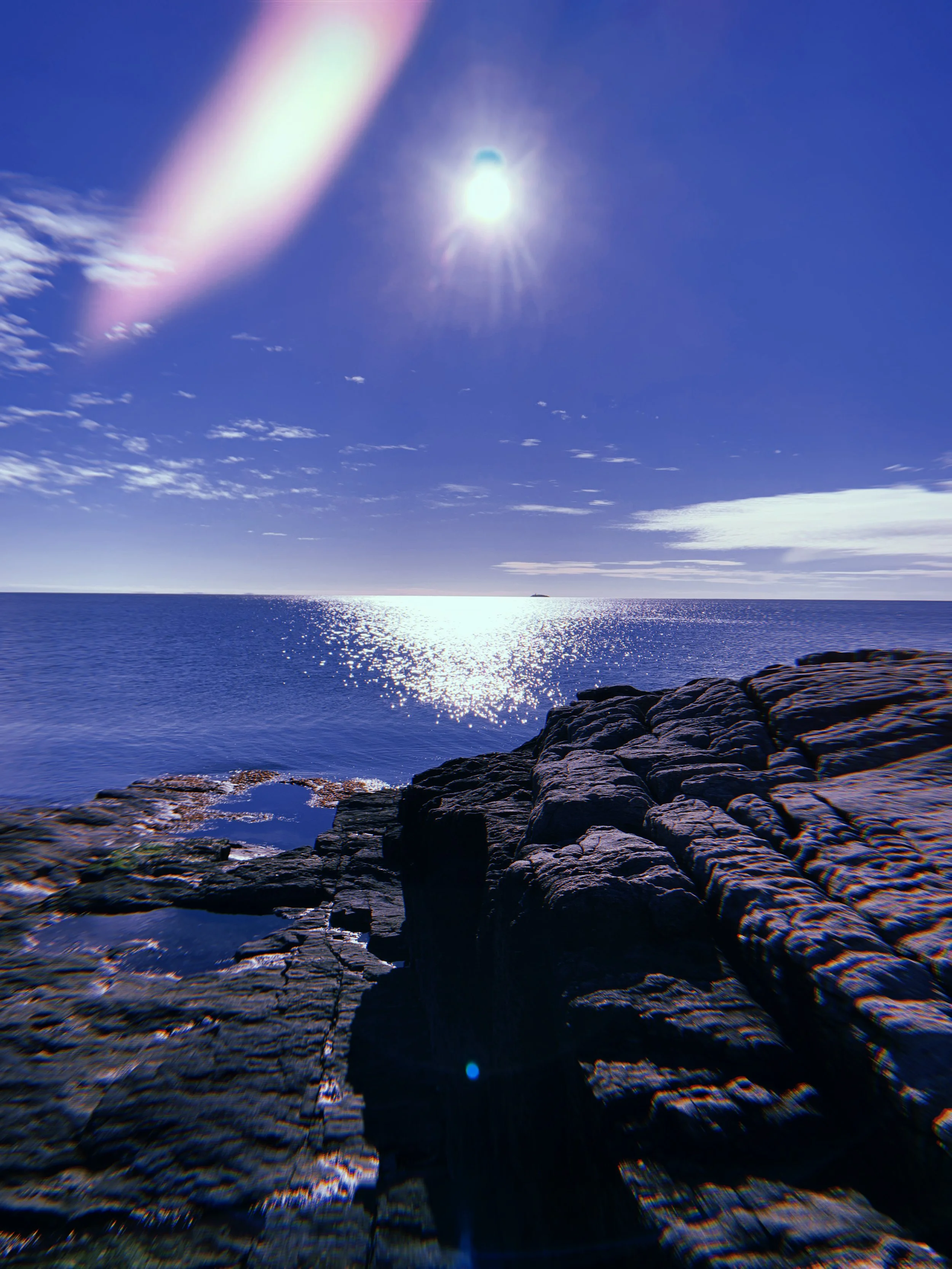 2021-01-09 13:46:36.542.jpeg