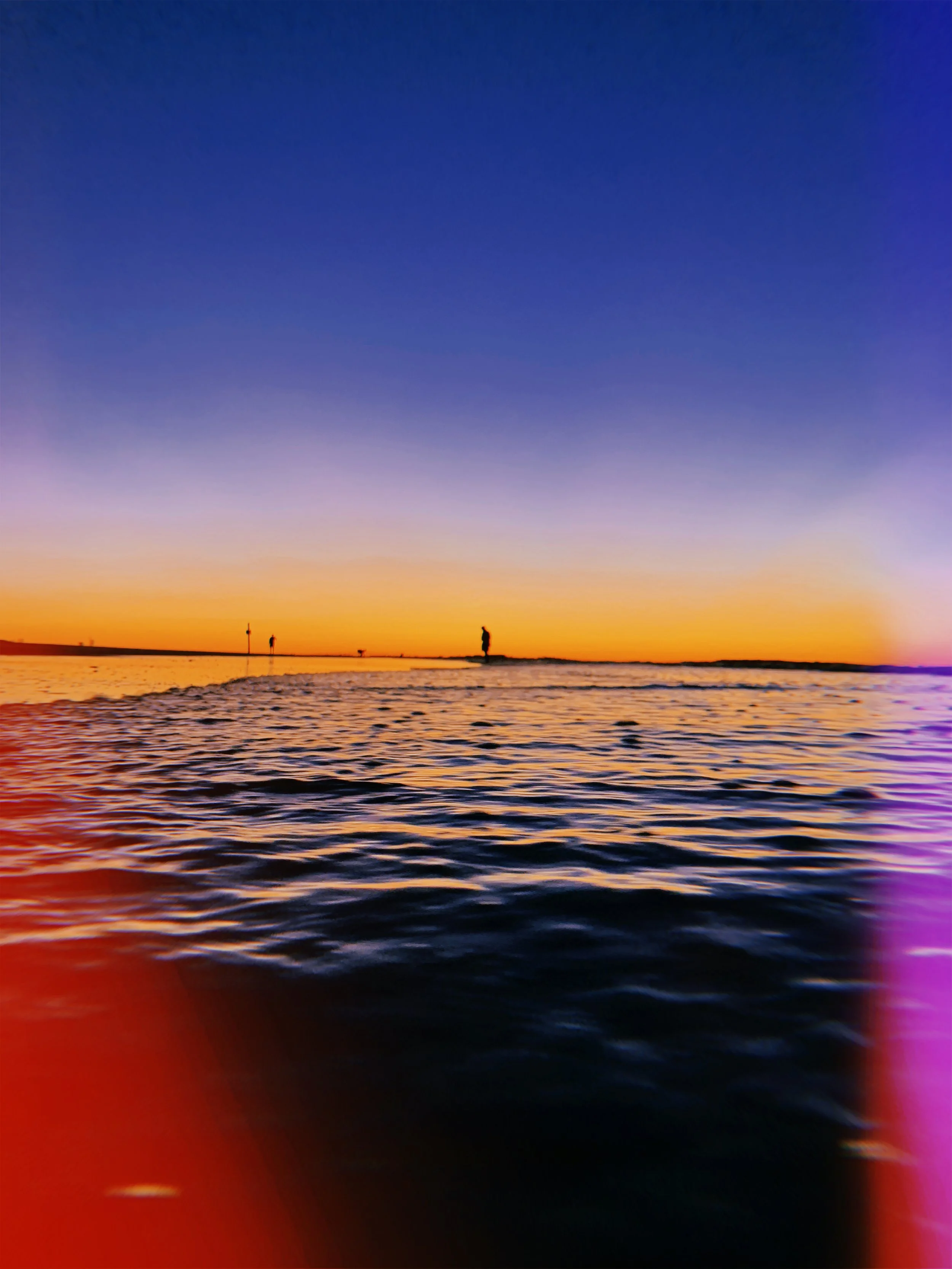 2021-09-24 19:41:00.017.jpeg