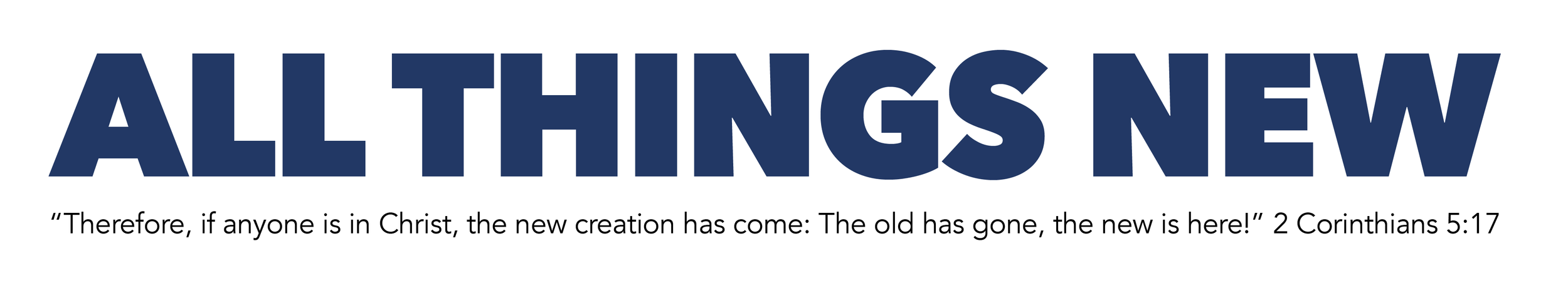 All things new newsletter
