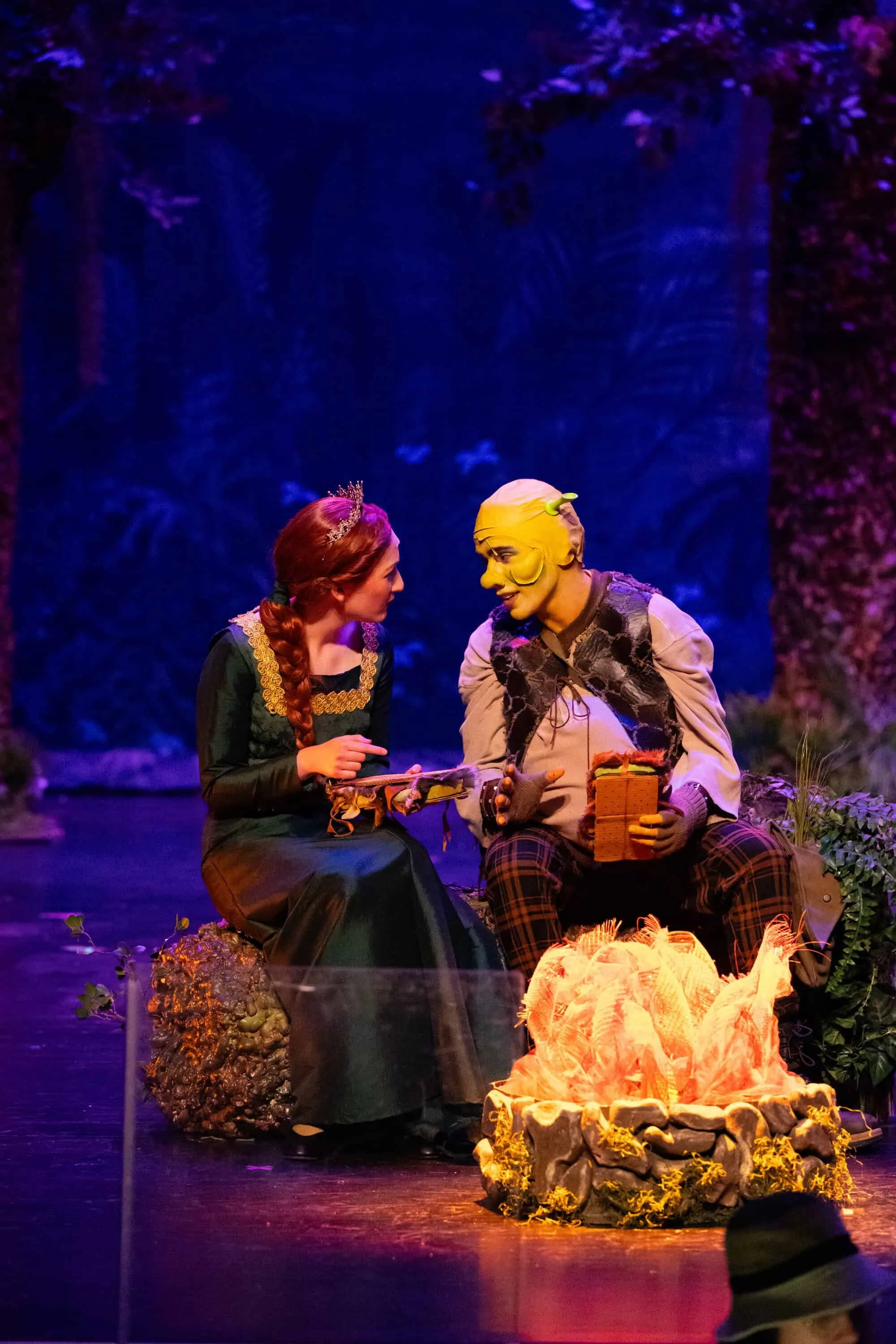 2025-04-05 AJT Shrek Dress Rehearsal-450.jpg