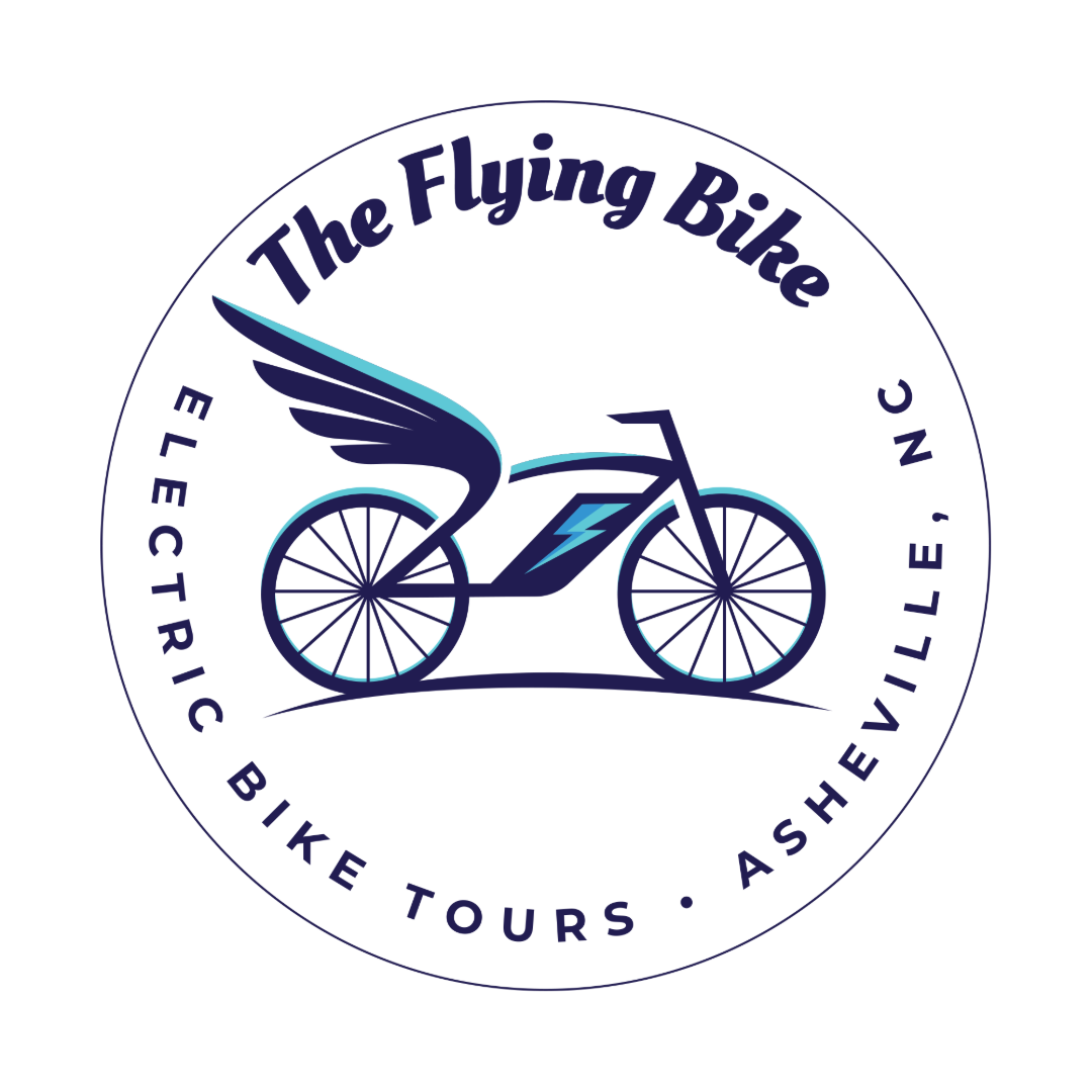 Flying Bike-logo white background.png