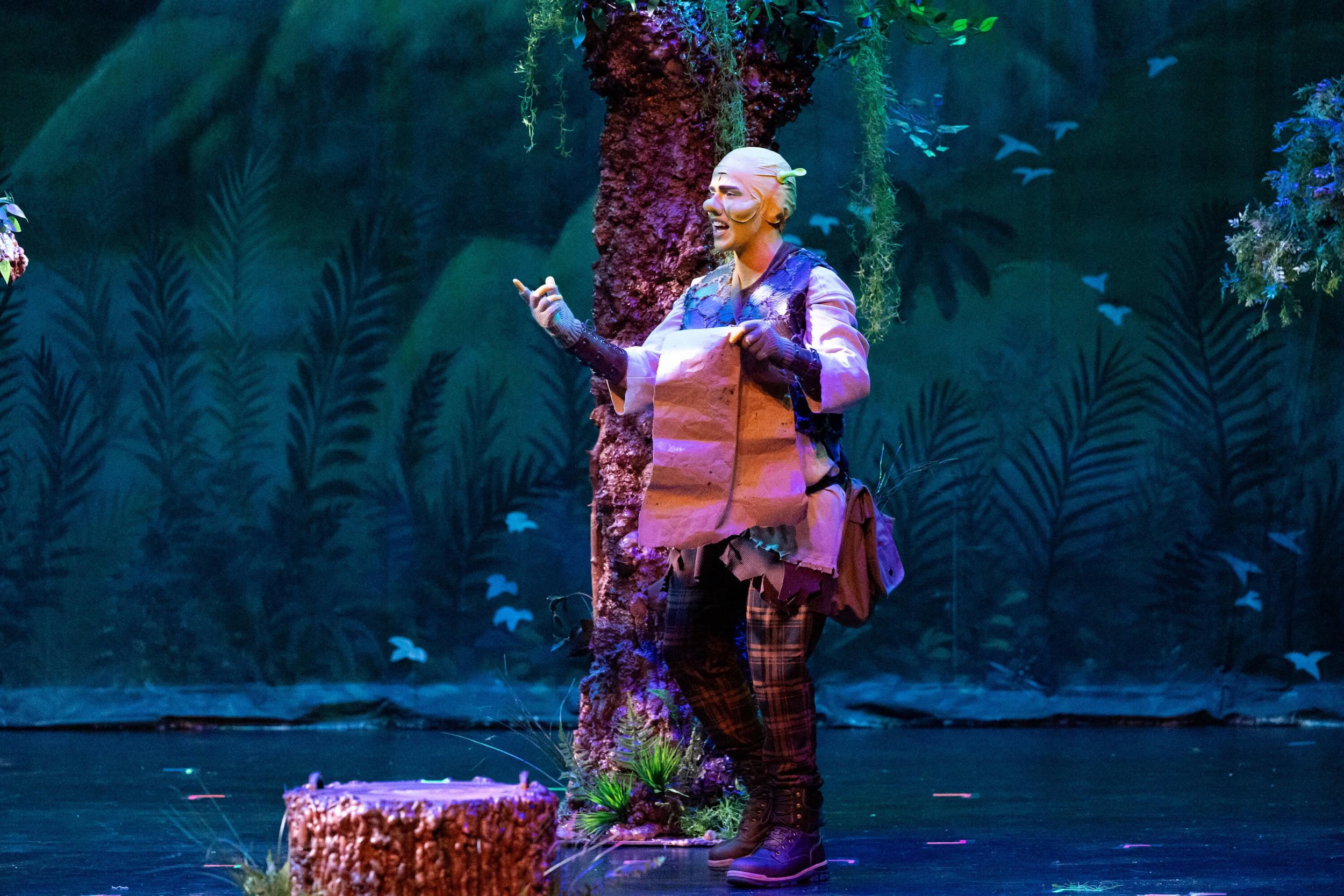 2025-04-05 AJT Shrek Dress Rehearsal-137.jpg