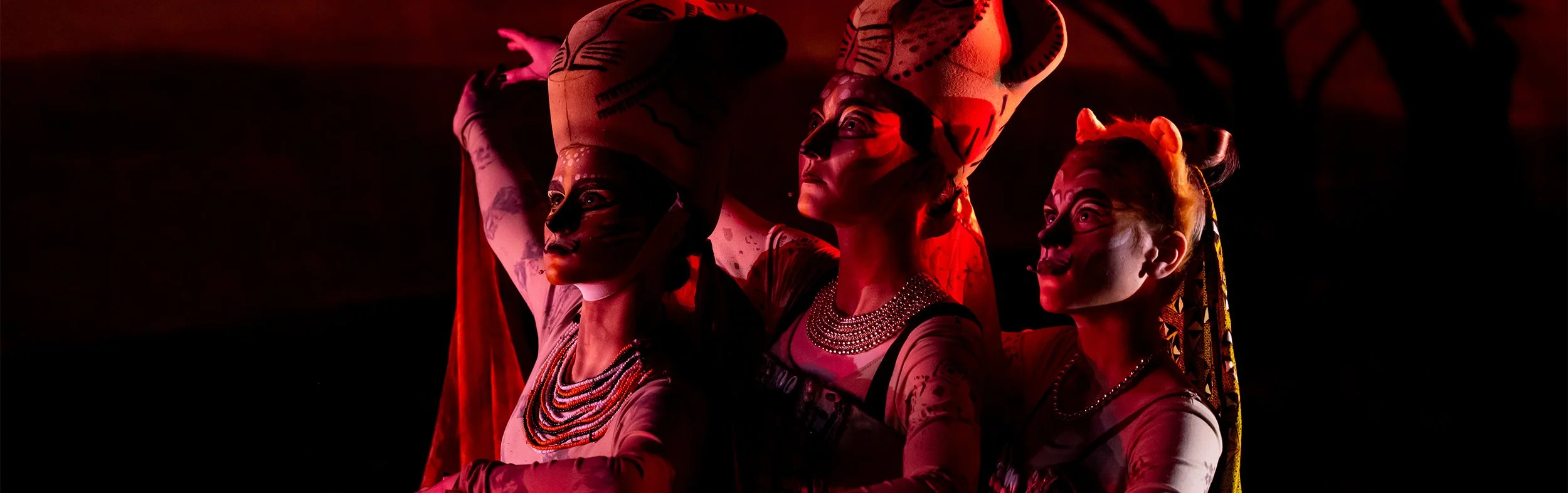 The Lion King JR, lionesses, African Savannah, Wortham Center for the Arts, Asheville Junior Theater, AJT, PACA, THE Performing Arts Company of Asheville, sing, act, dance, junior theater, musical theater, stage, transformative, confidence