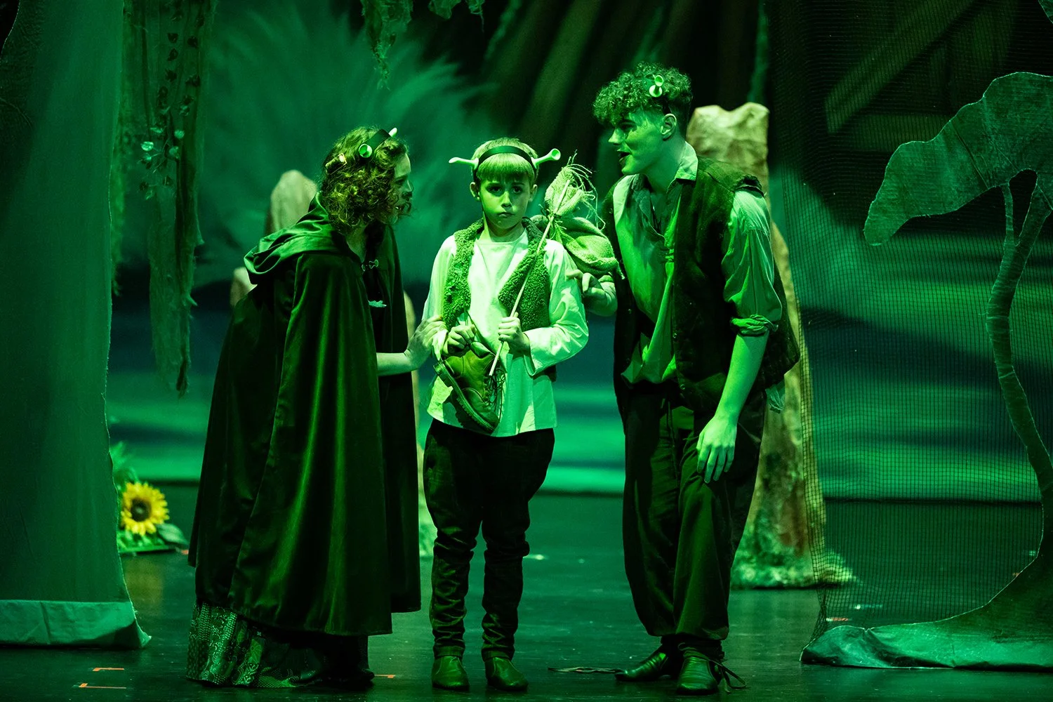 Shrek JR, Papa Ogre, Mama Ogre, Young Shrek, Big Bright Beautiful World, junior theater, sing, act, dance, kids on stage, Asheville kid activities, PACA, The Performing Arts Company of Asheville, AJT, inspire, young performers, performing arts school