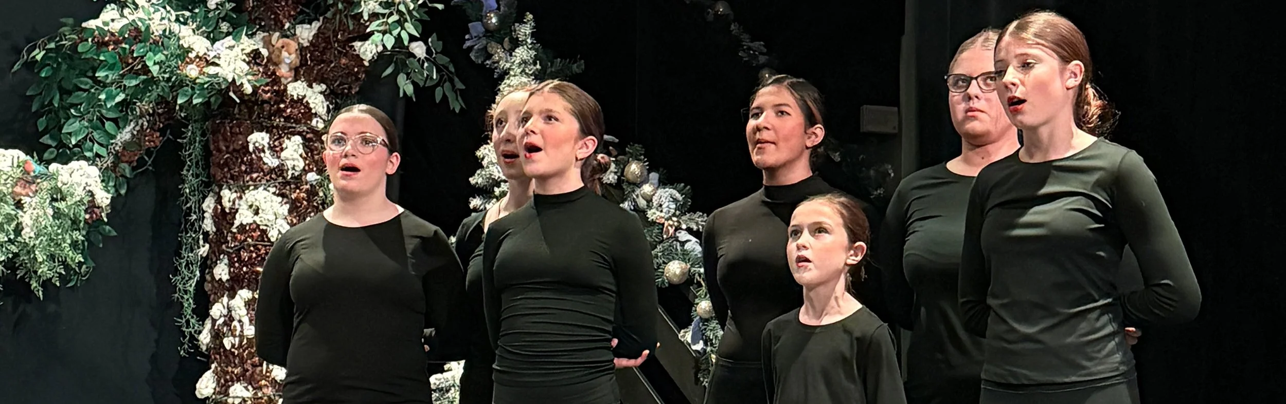 voice, sing, choir, ensemble choir, harmonies, voice lessons, private lessons, performing arts, Asheville Junior Theater, AJT, PACA, THE Performing Arts Company of Asheville, Asheville, singing, teenager, performer, musical, stage, 828, WNC