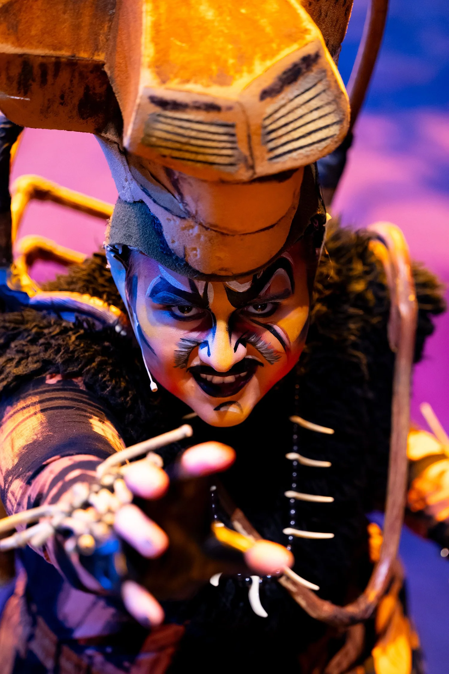 why theater matters, inspire, sponsor a child, tax deducible, confidence, south Asheville, PACA, The Performing Arts Company of Asheville, support, donate, 501c-3, donation, The Lion King JR, Scar, how to help, scholarship, funding, donor, children