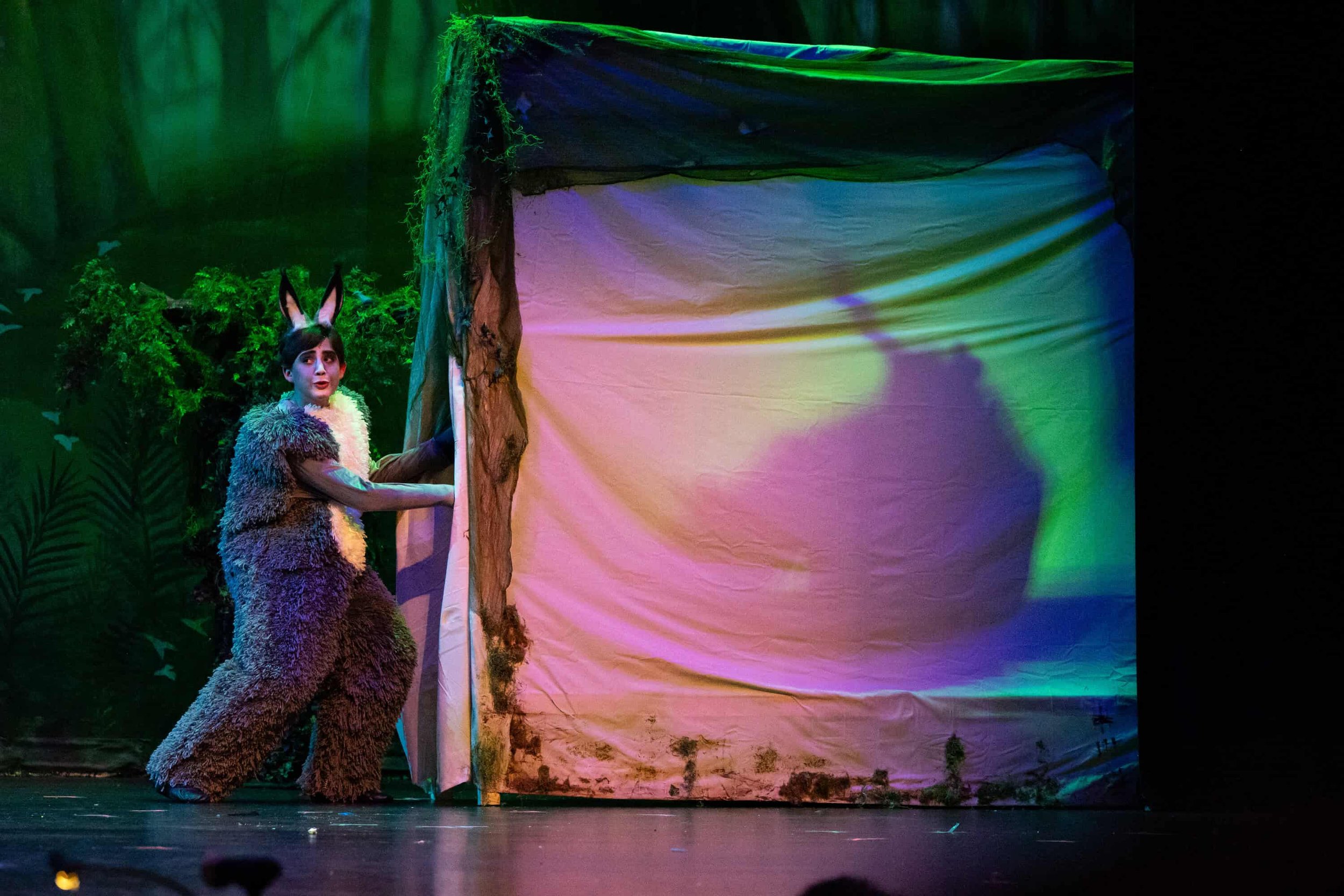 2025-04-05 AJT Shrek Show 1-667.jpg